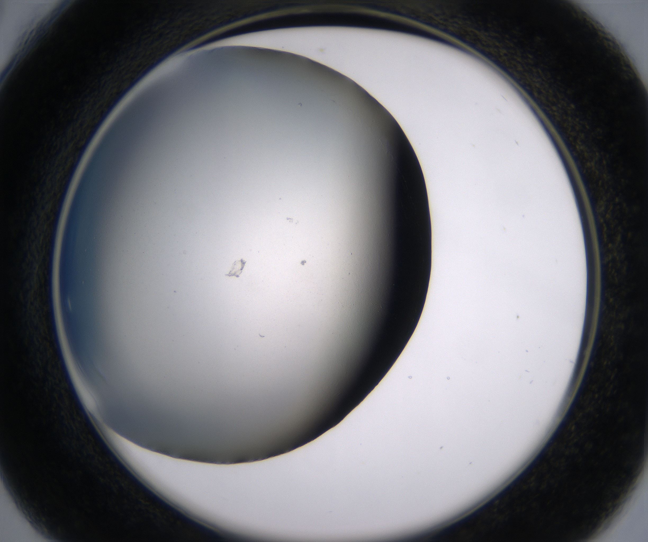C4_HighResolution_Clear_2.jpg
