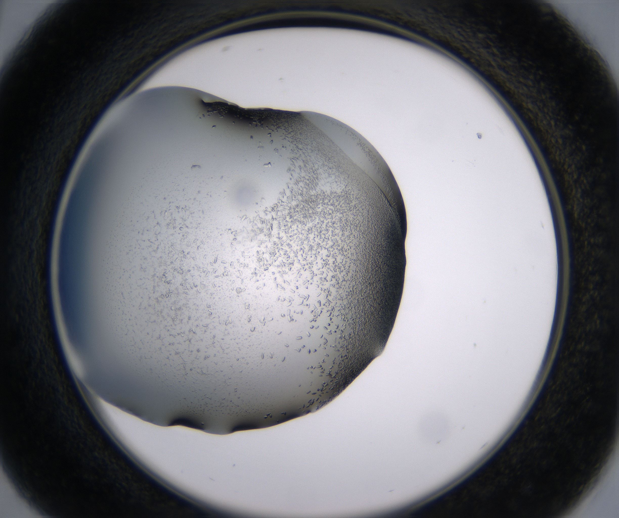 C5_HighResolution_Crystal_2.jpg
