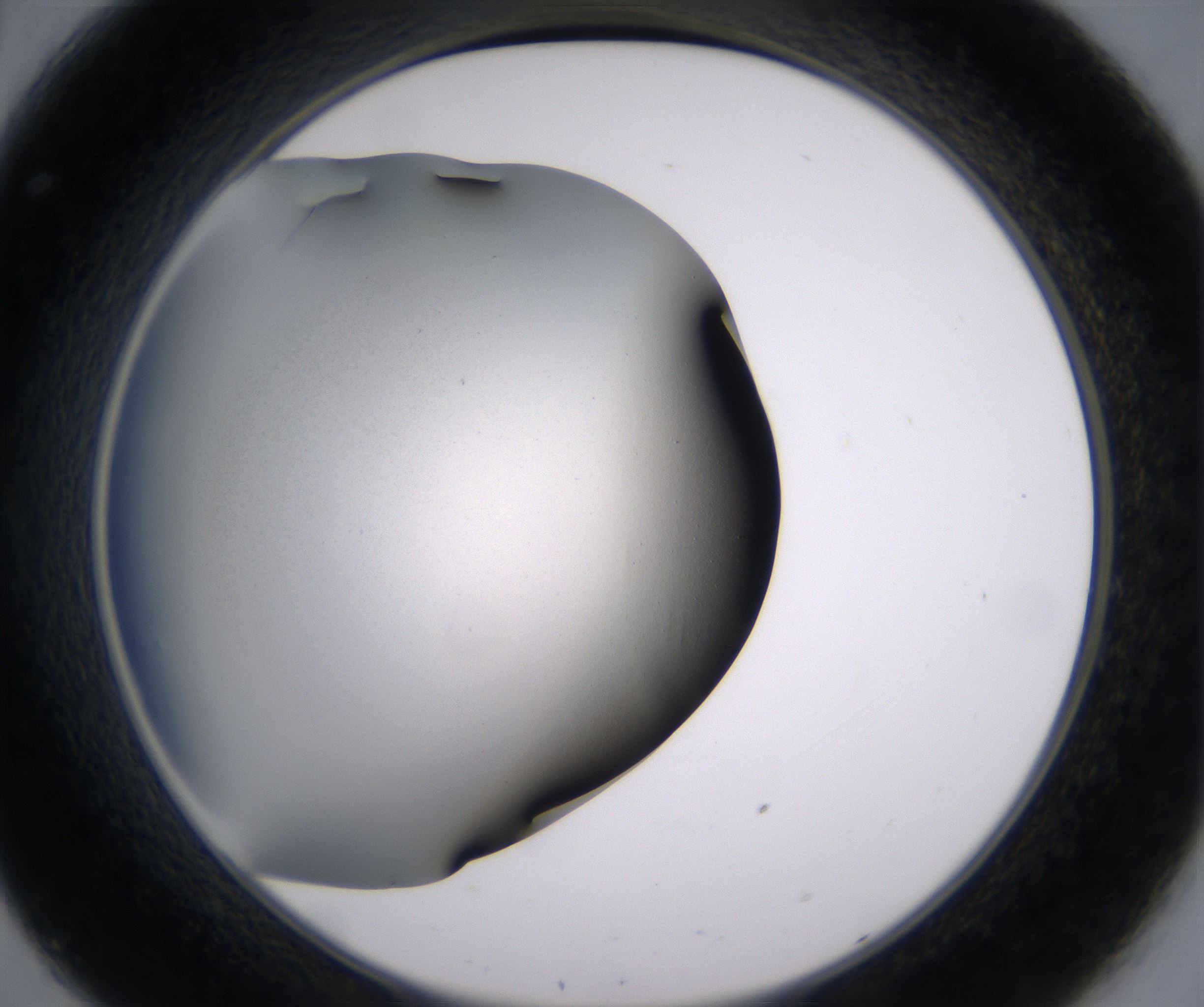 C8_HighResolution_Clear_2.jpg