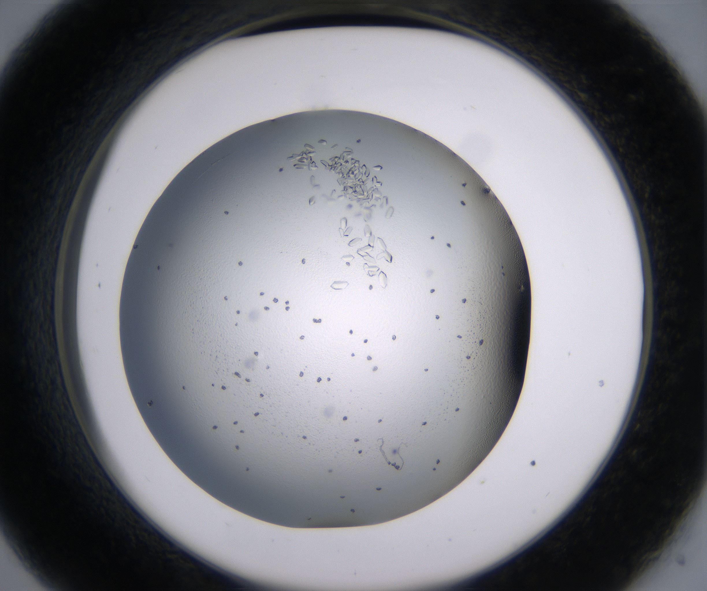 C9_HighResolution_Crystal_2.jpg