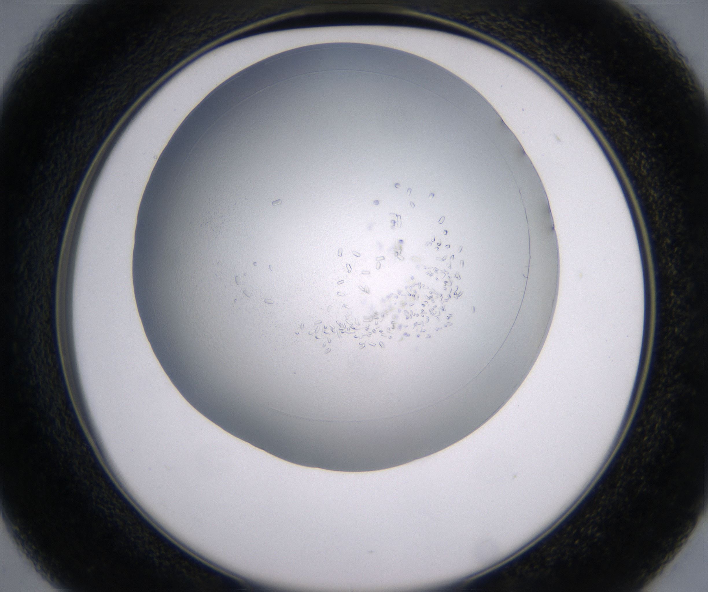 D1_HighResolution_Crystal_2.jpg