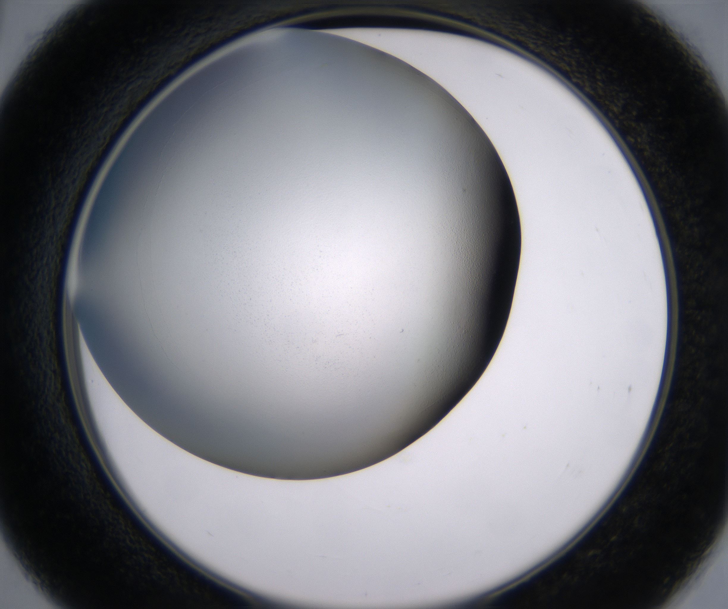 D3_HighResolution_Clear_2.jpg