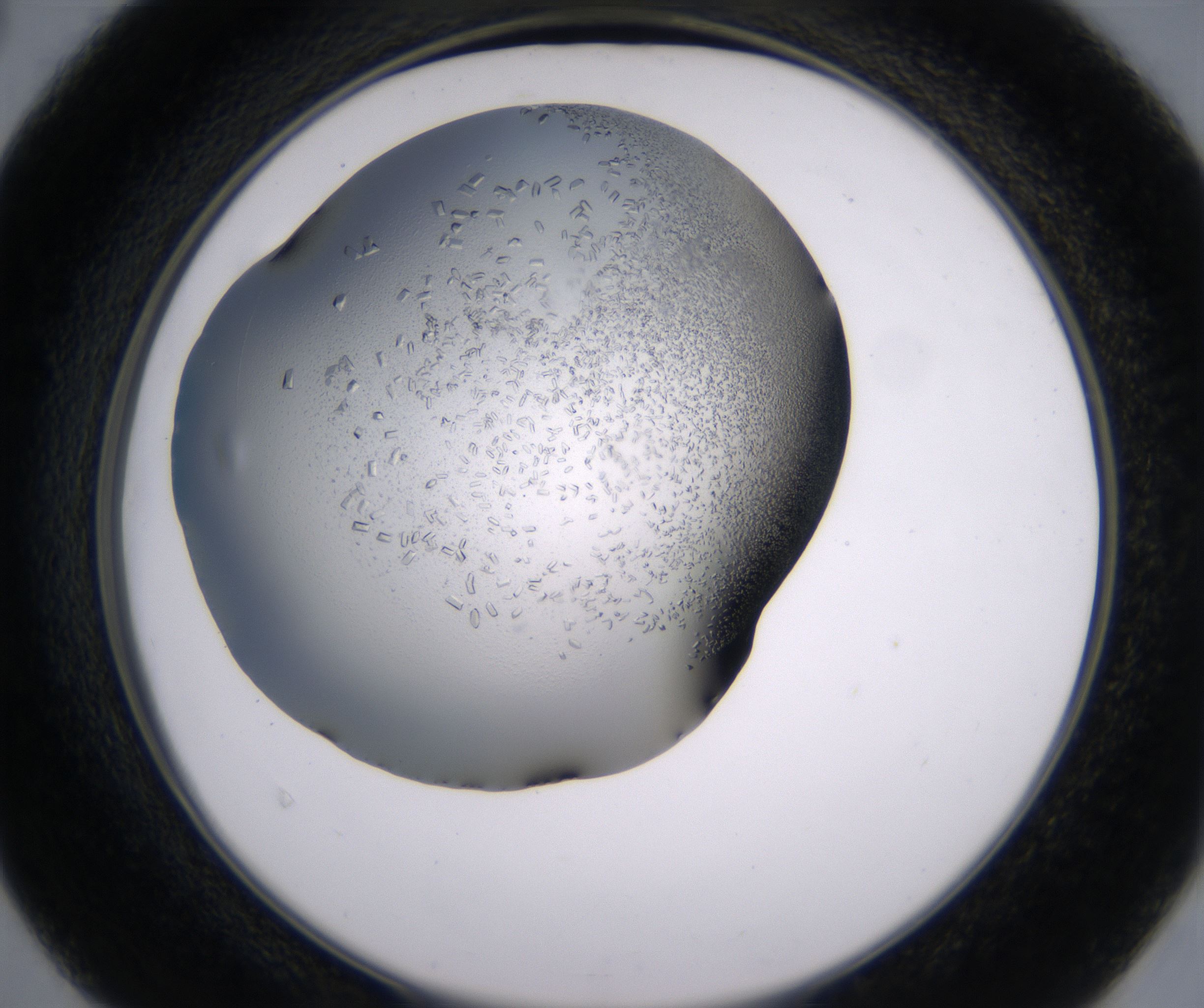 D4_HighResolution_Crystal_2.jpg