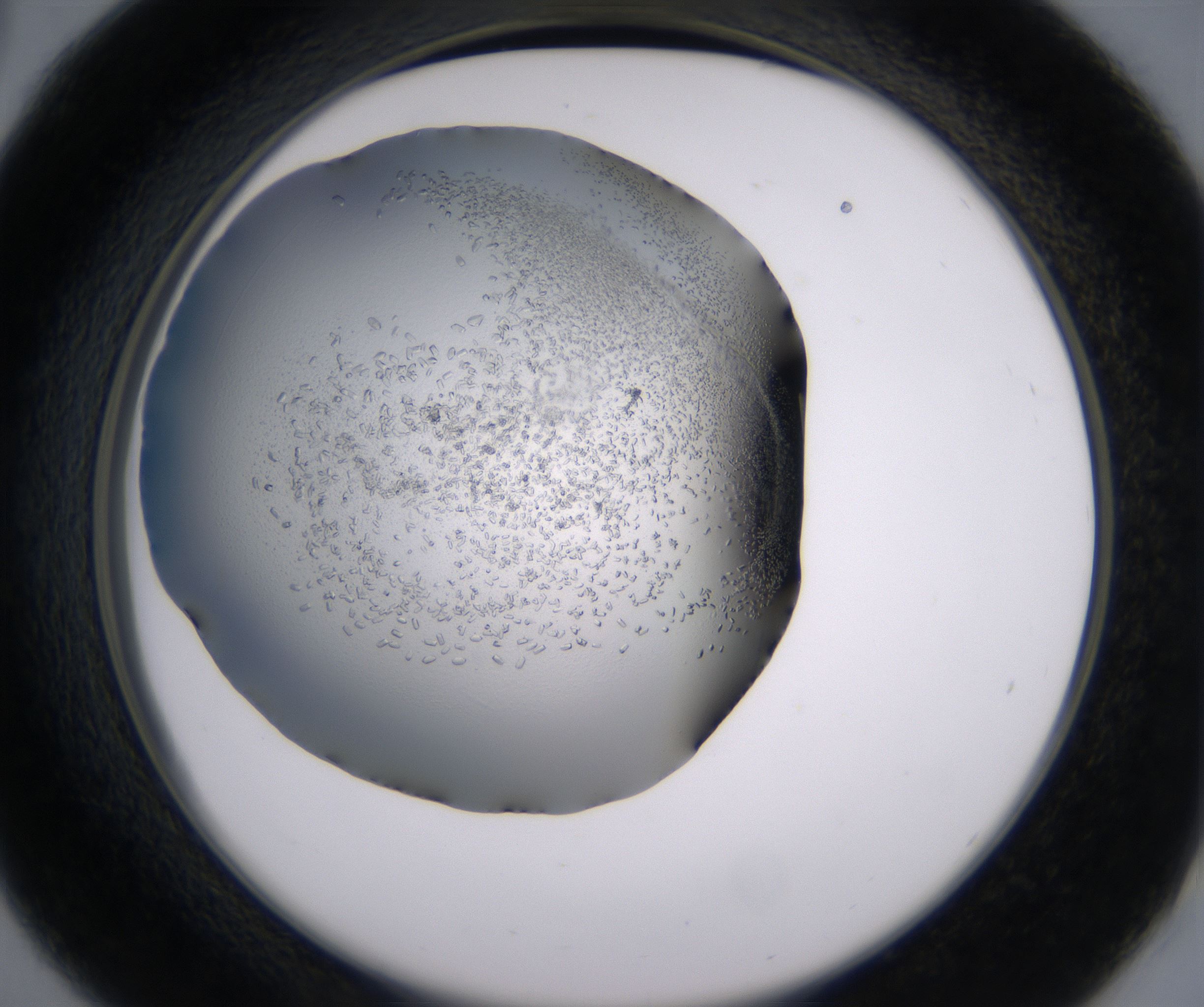 D6_HighResolution_Crystal_2.jpg