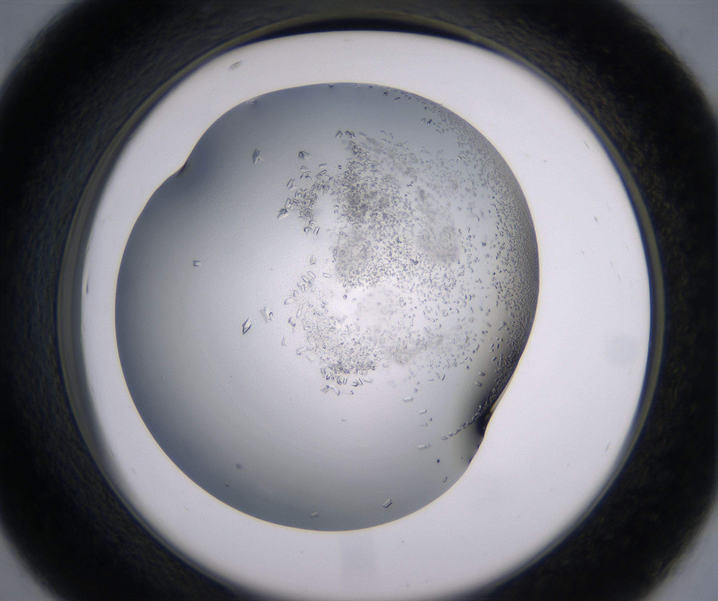 D7_HighResolution_Crystal_2.jpg