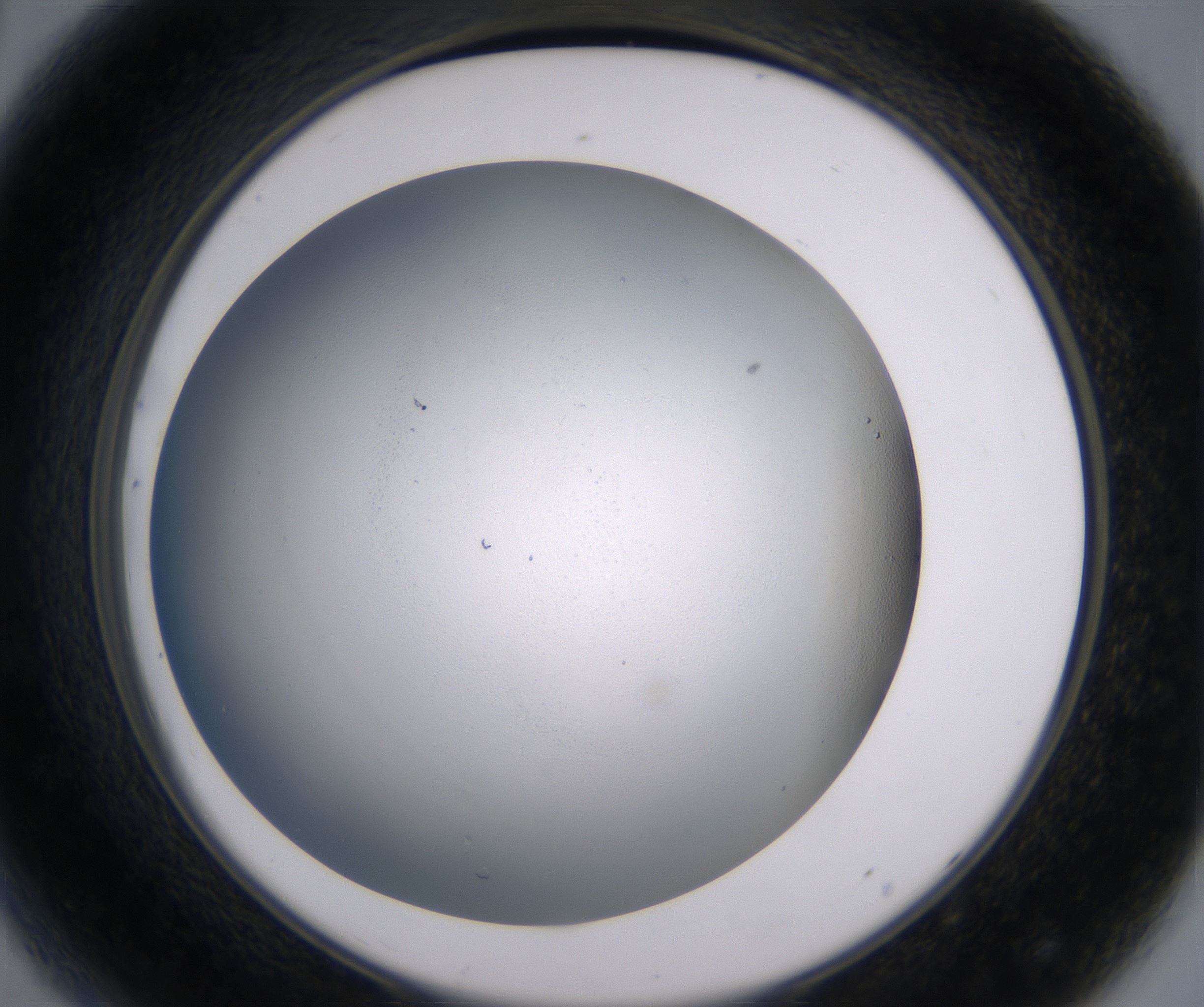 D8_HighResolution_Clear_2.jpg