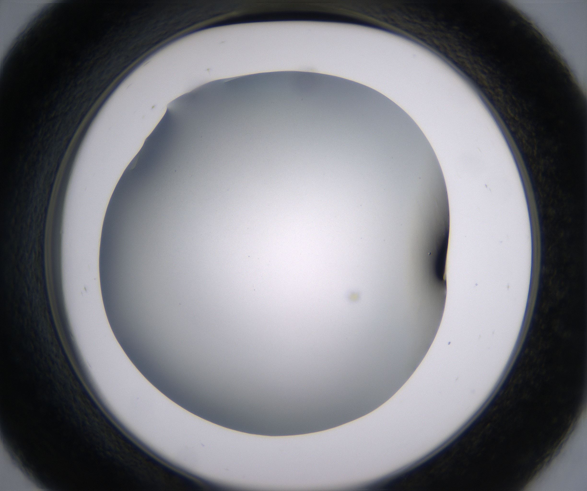 D9_HighResolution_Clear_2.jpg
