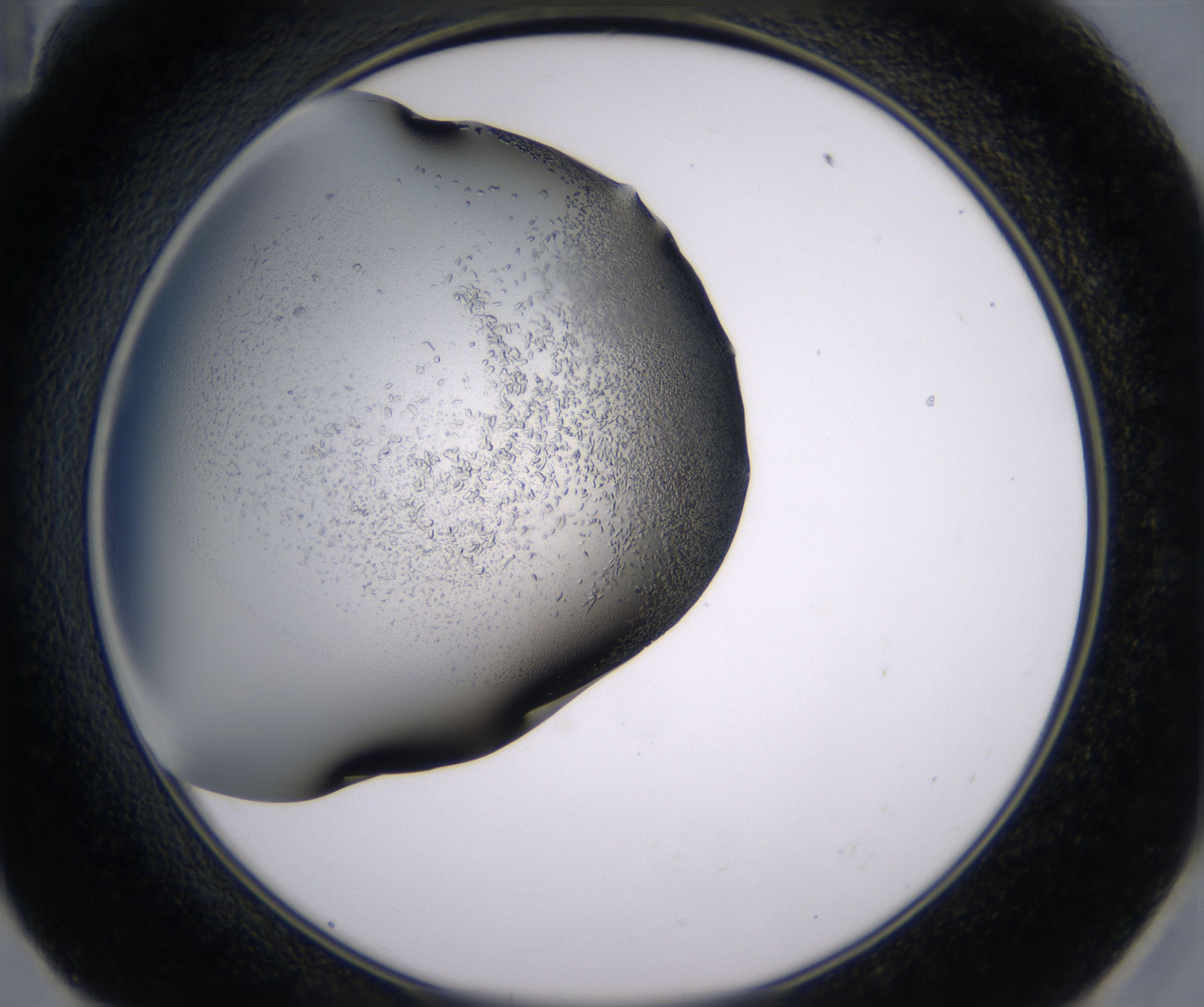 E11_HighResolution_Crystal_2.jpg