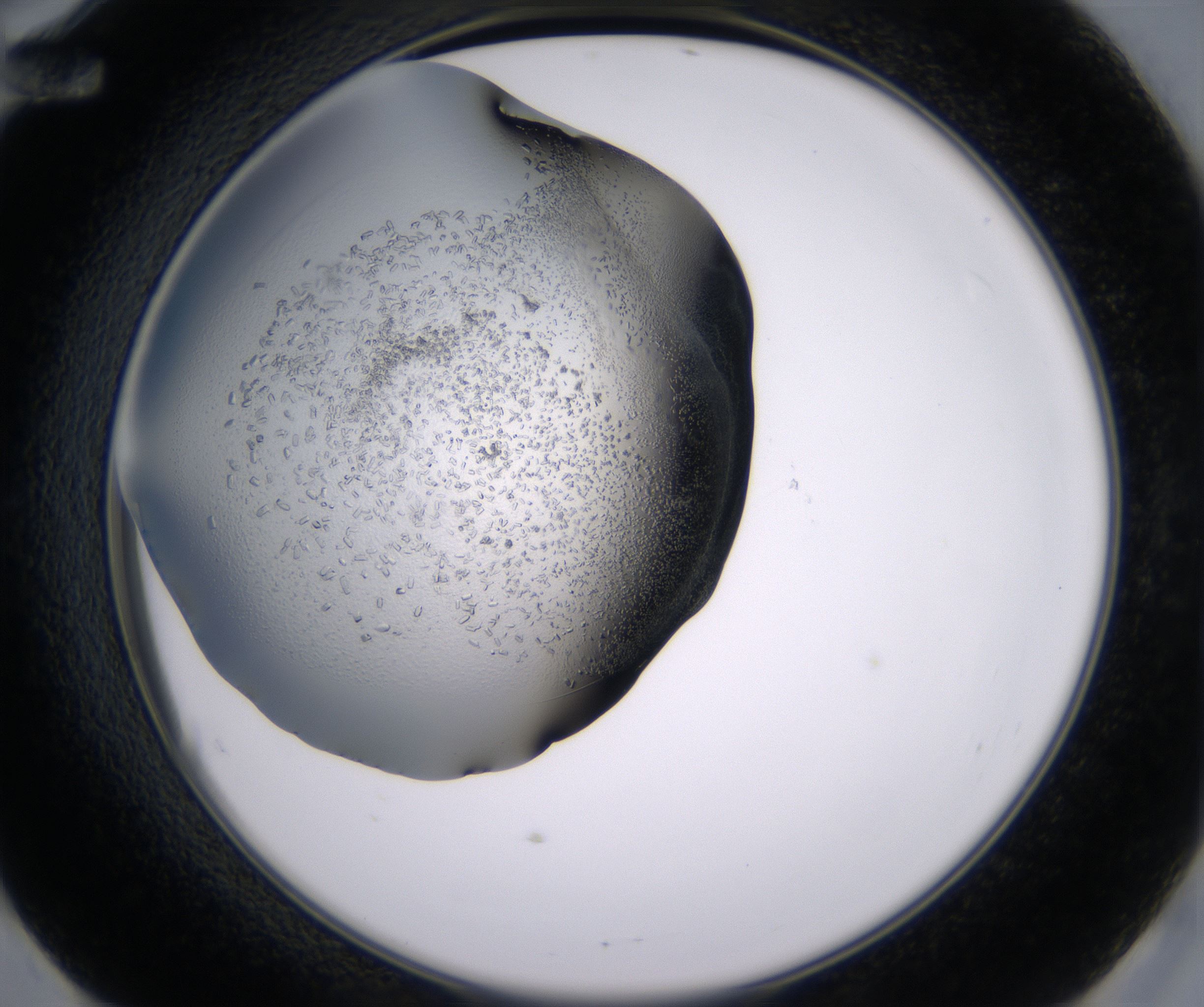 E12_HighResolution_Crystal_2.jpg