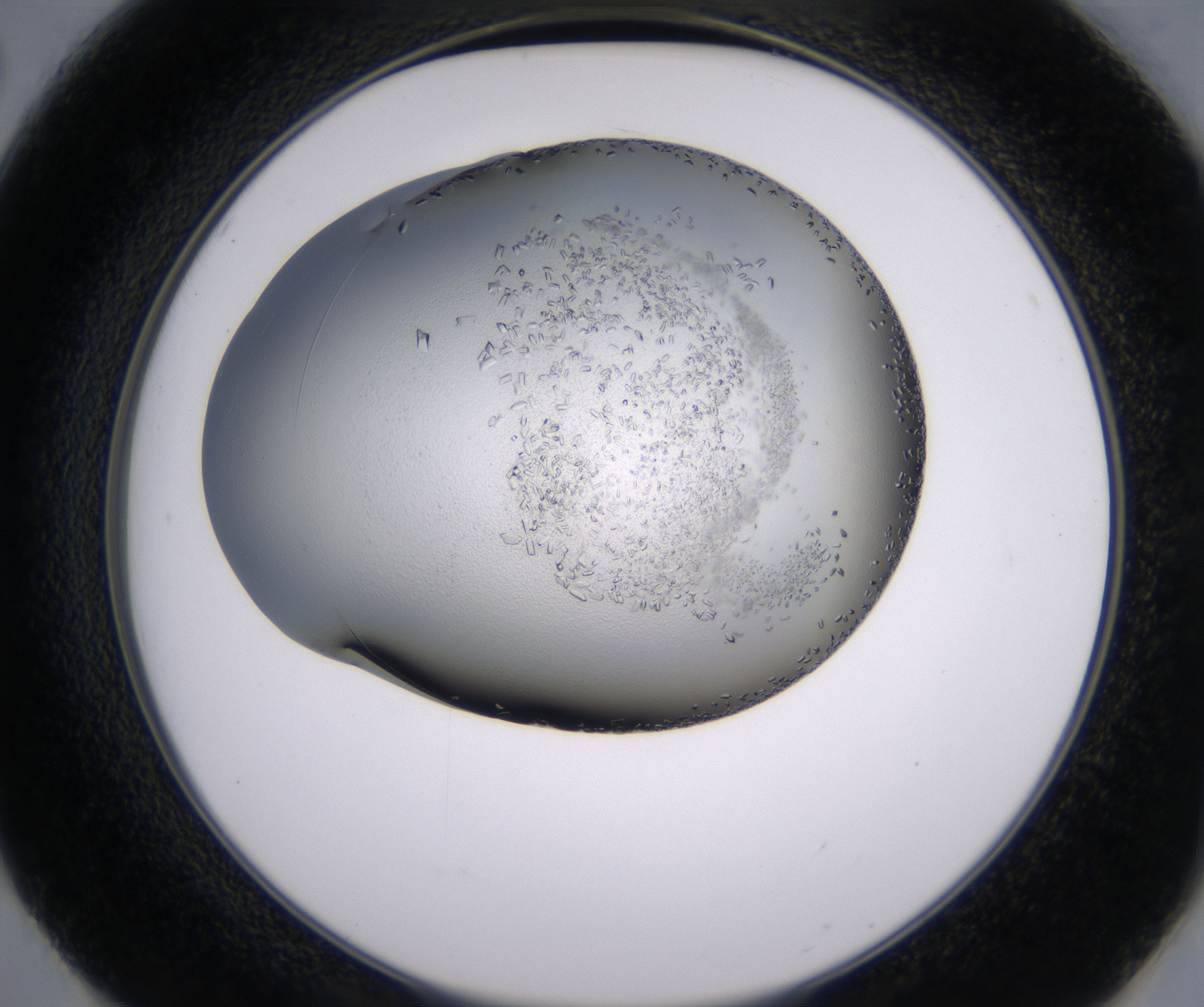 E2_HighResolution_Crystal_2.jpg