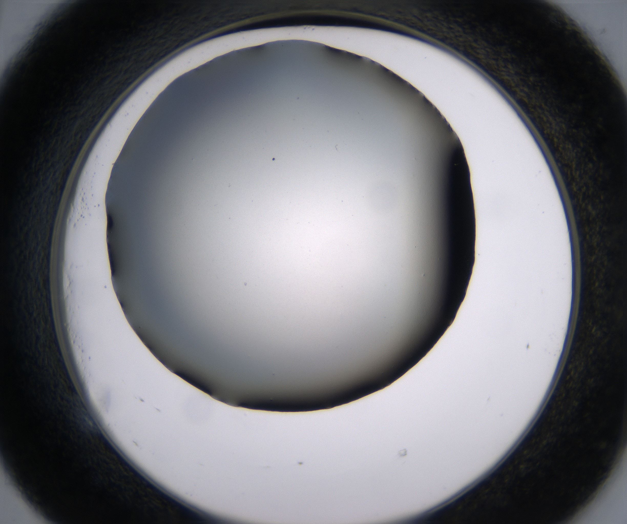 E5_HighResolution_Clear_2.jpg