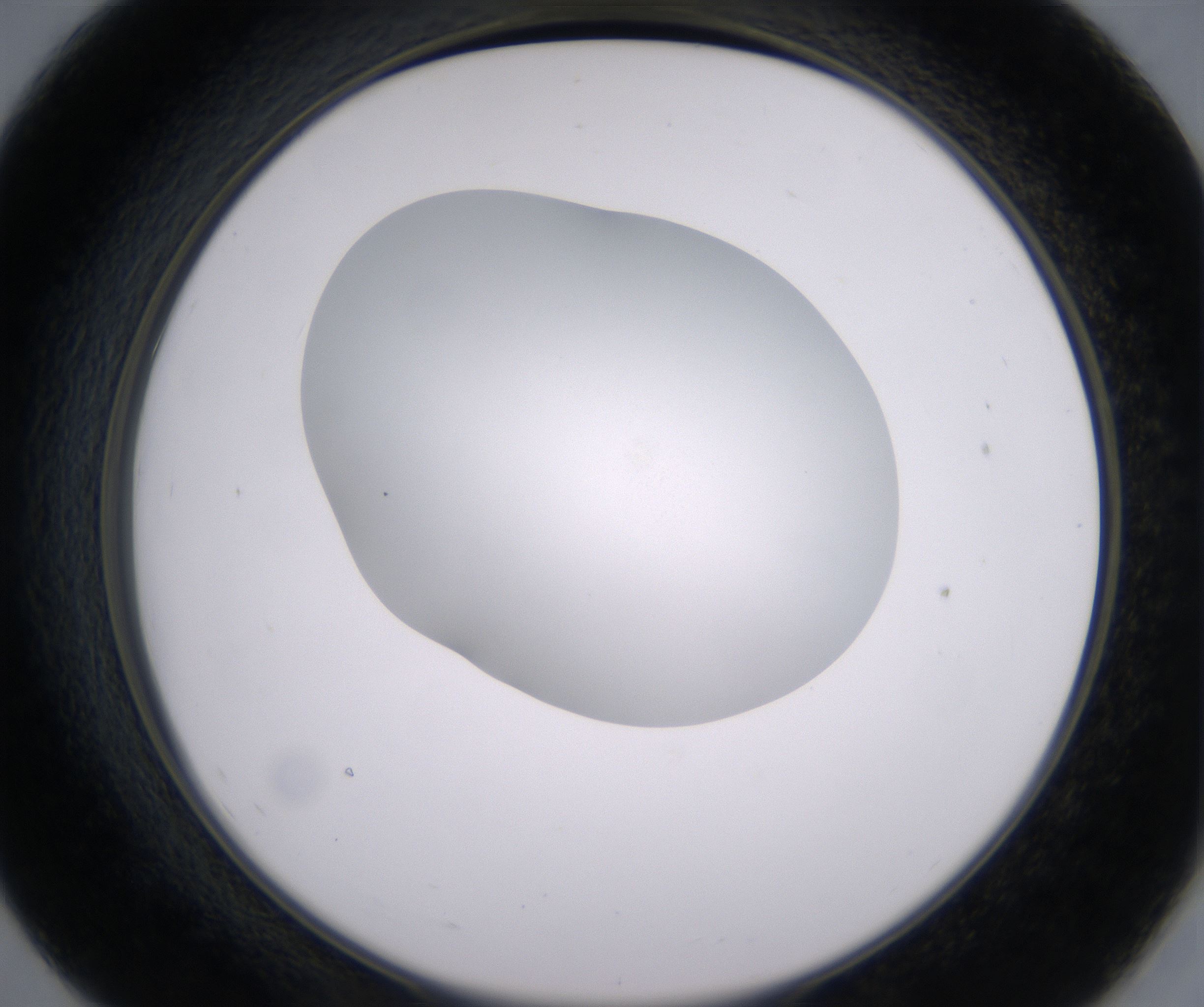 E7_HighResolution_Clear_2.jpg