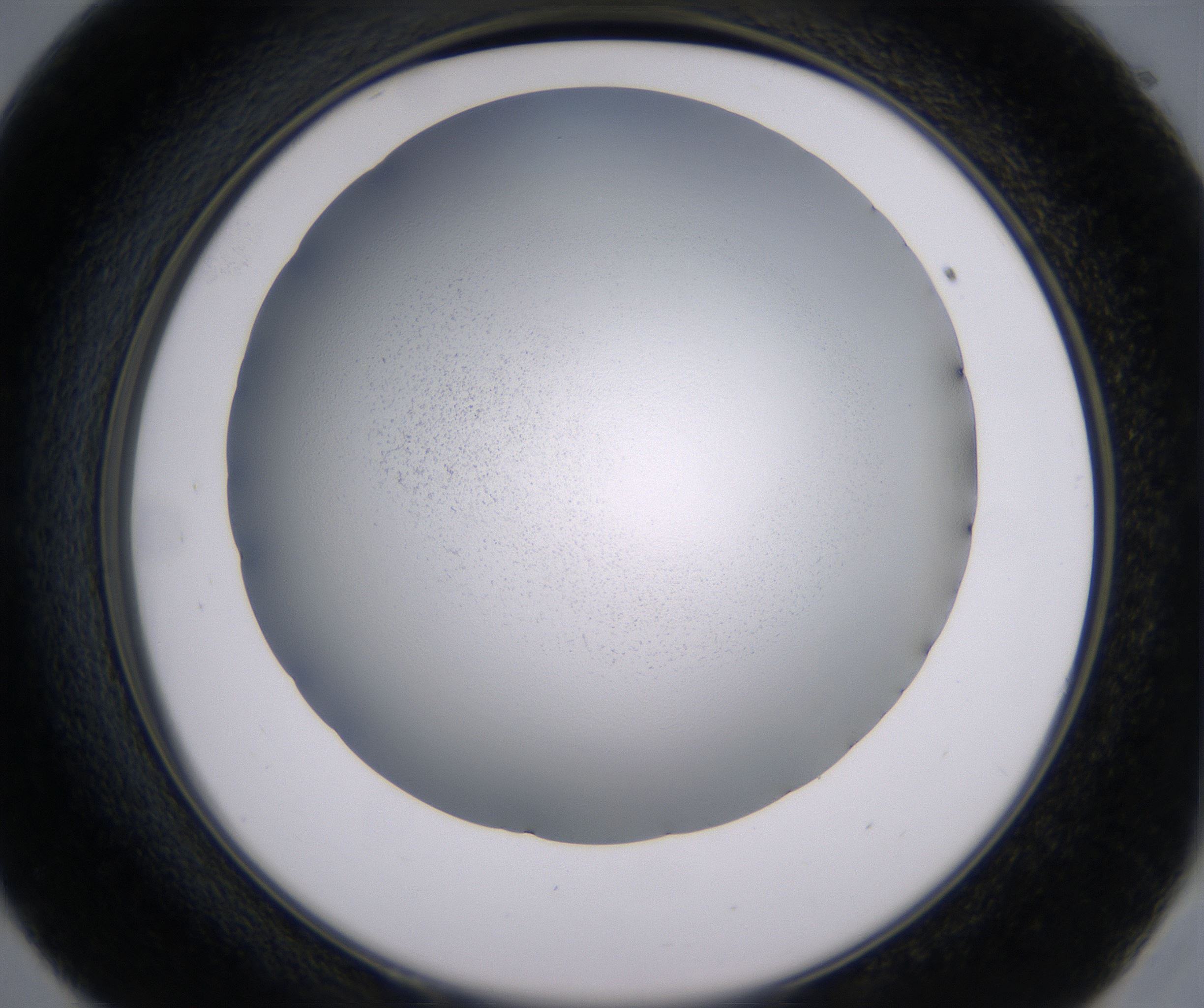 E9_HighResolution_Clear_2.jpg