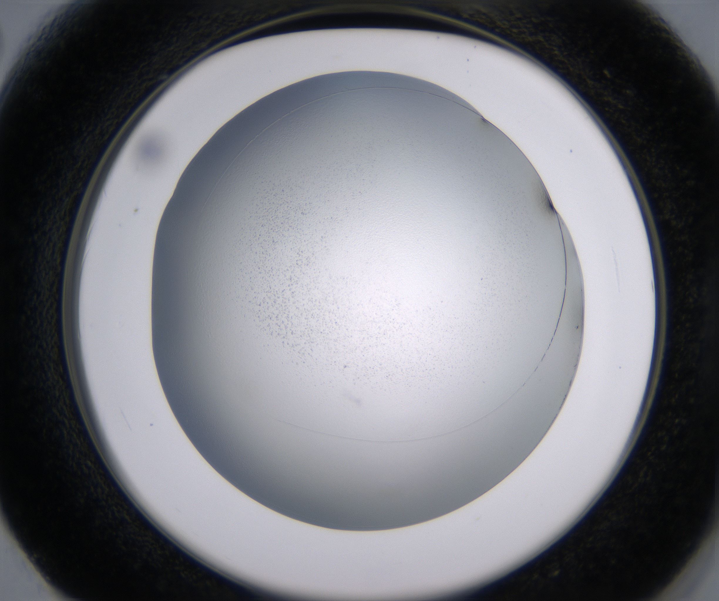F2_HighResolution_Clear_2.jpg