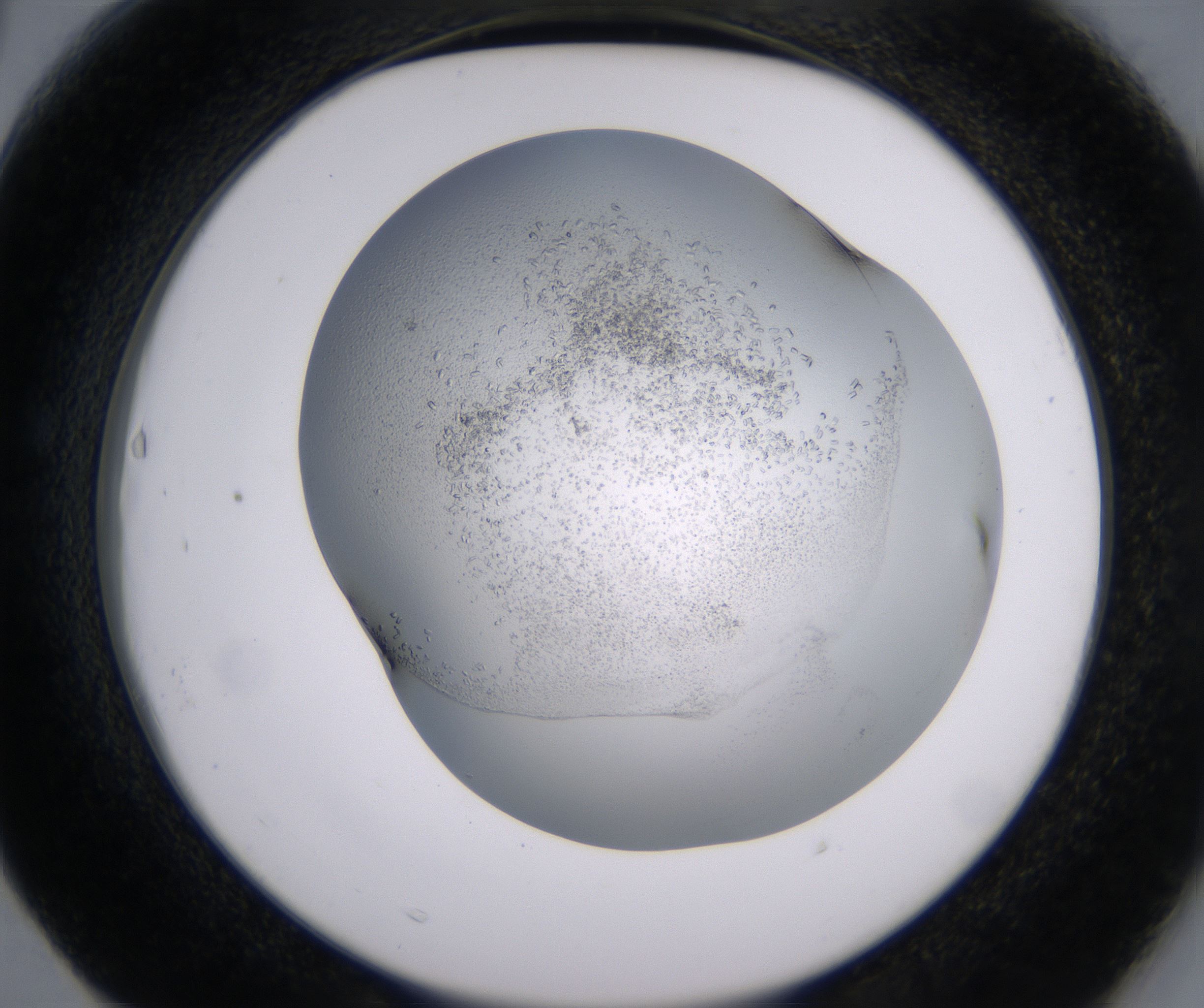 F3_HighResolution_Crystal_2.jpg
