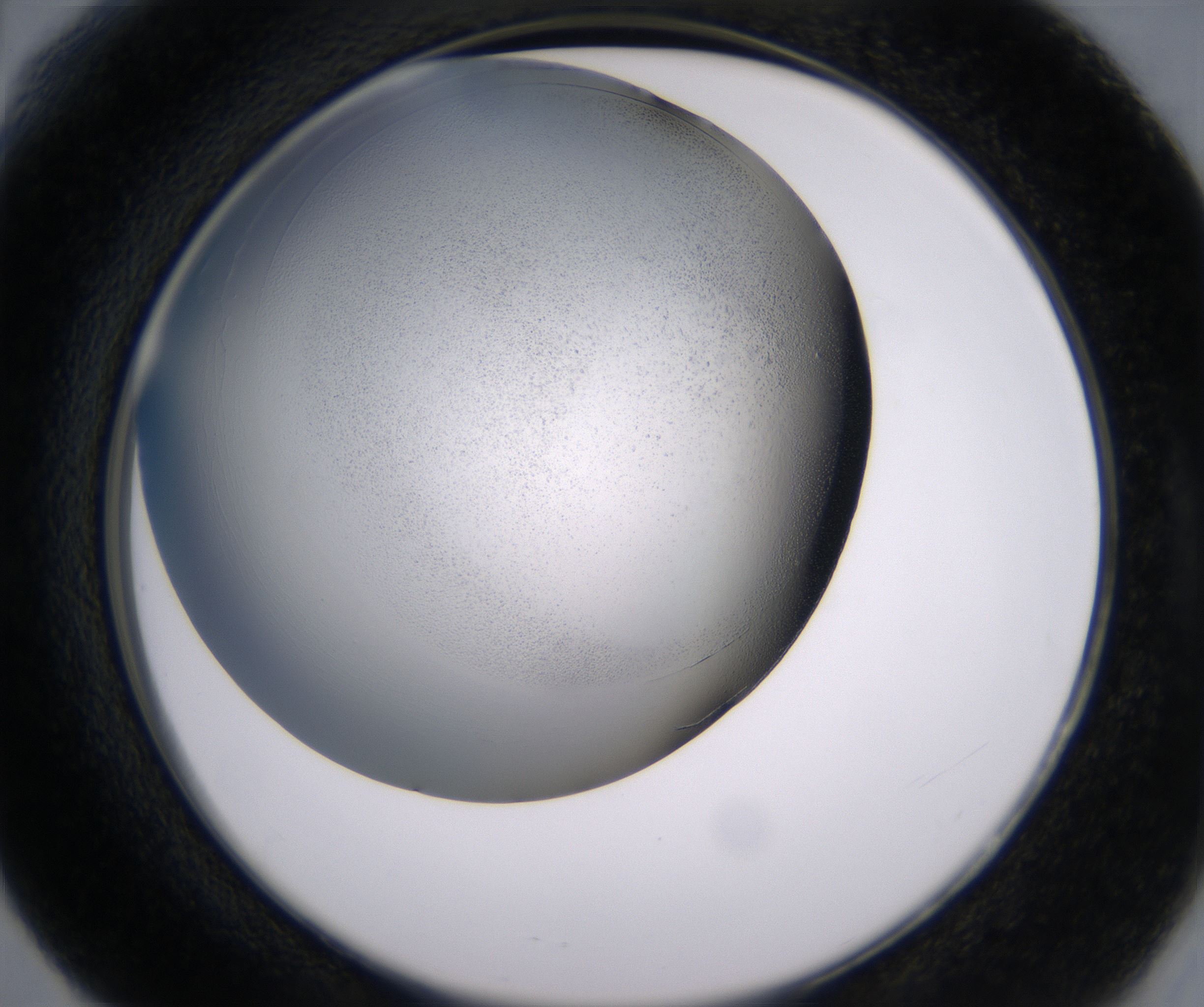 F6_HighResolution_Clear_2.jpg