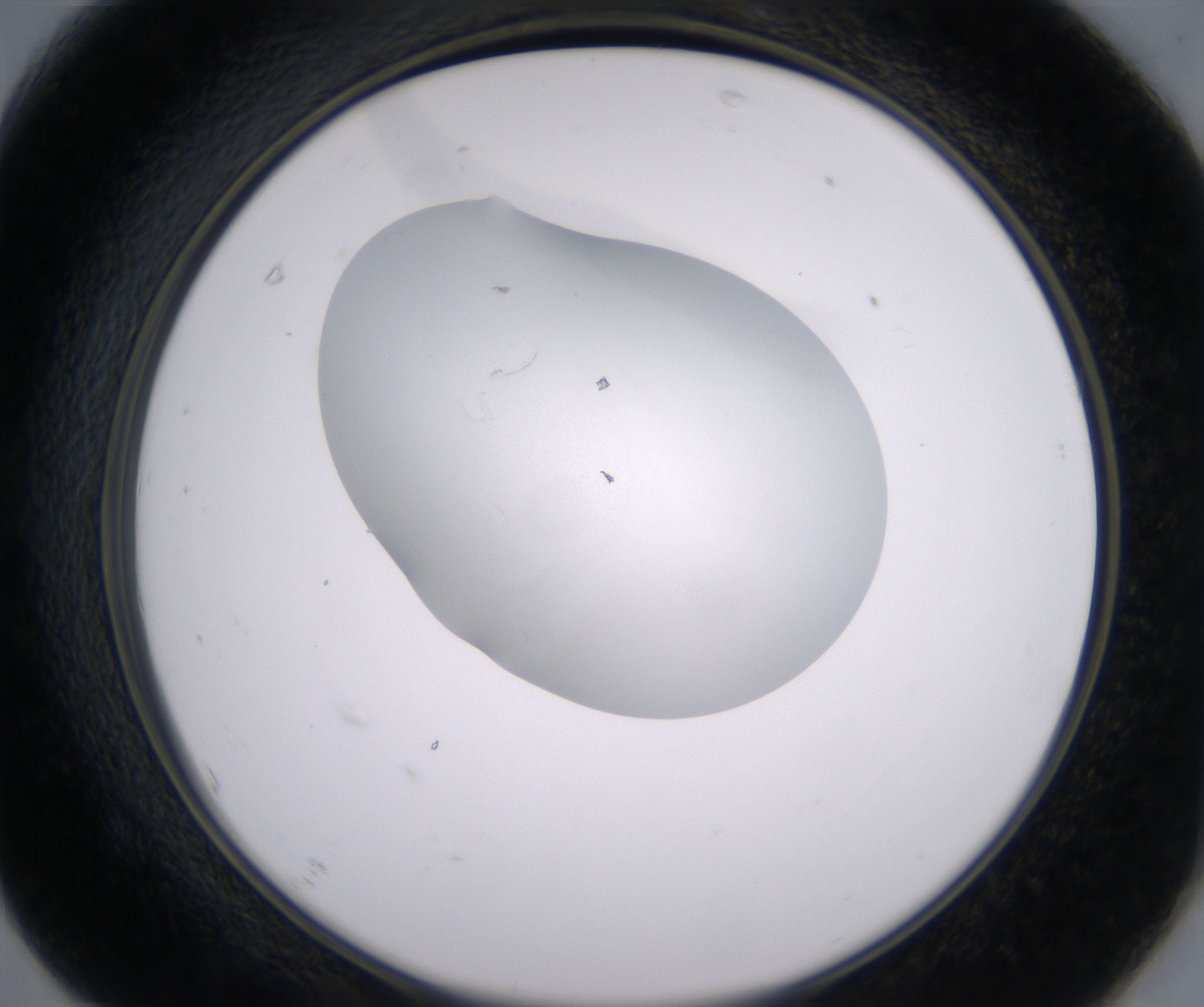 F7_HighResolution_Clear_2.jpg