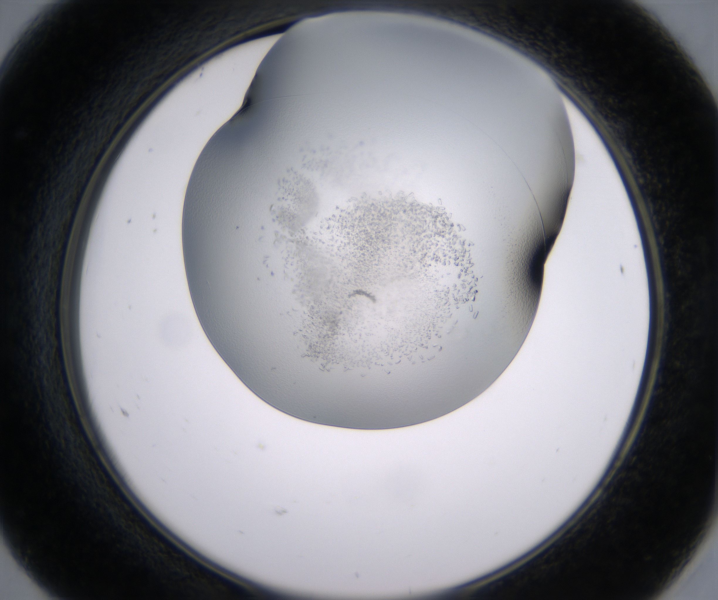 F8_HighResolution_Crystal_2.jpg