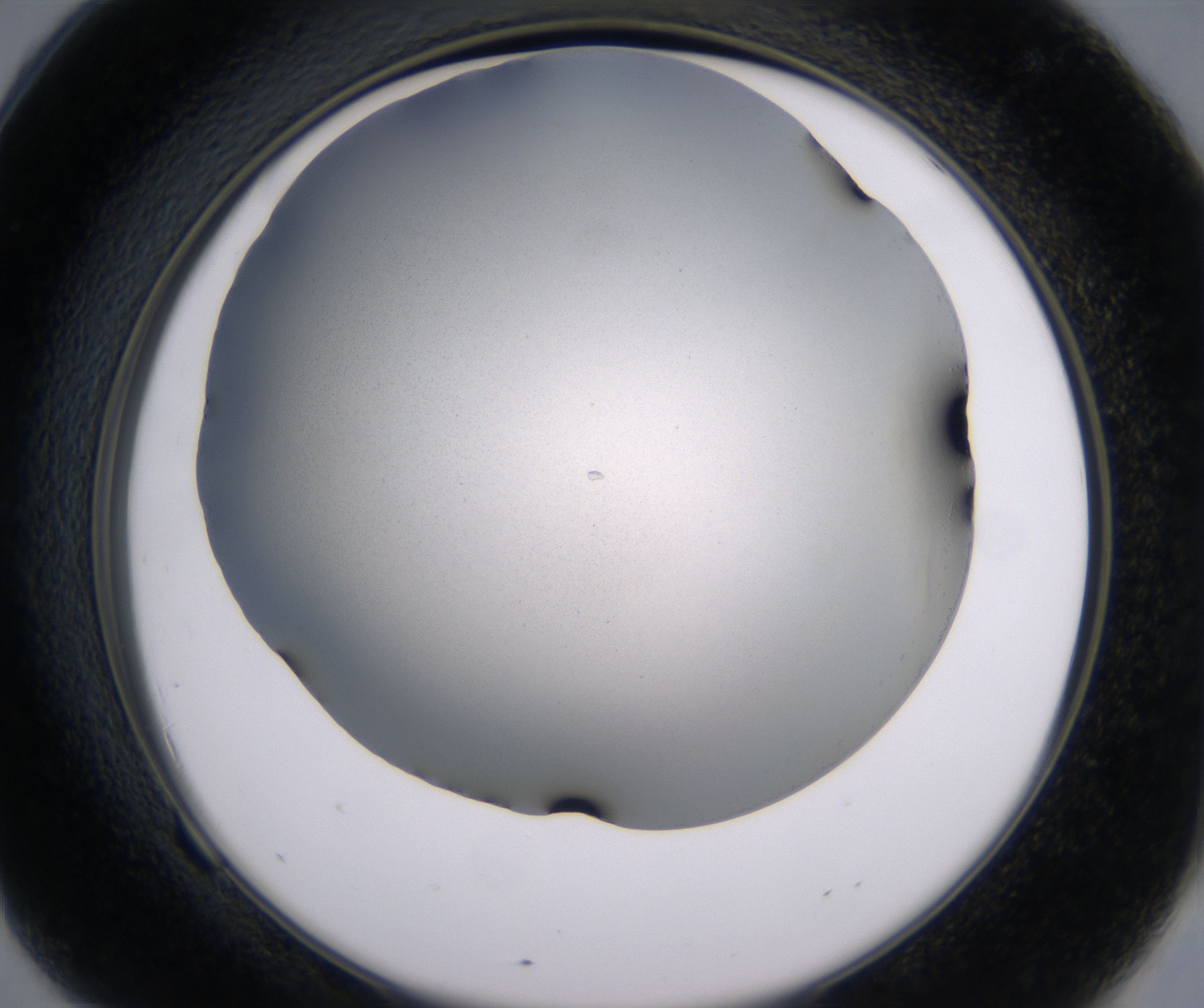 F9_HighResolution_Clear_2.jpg