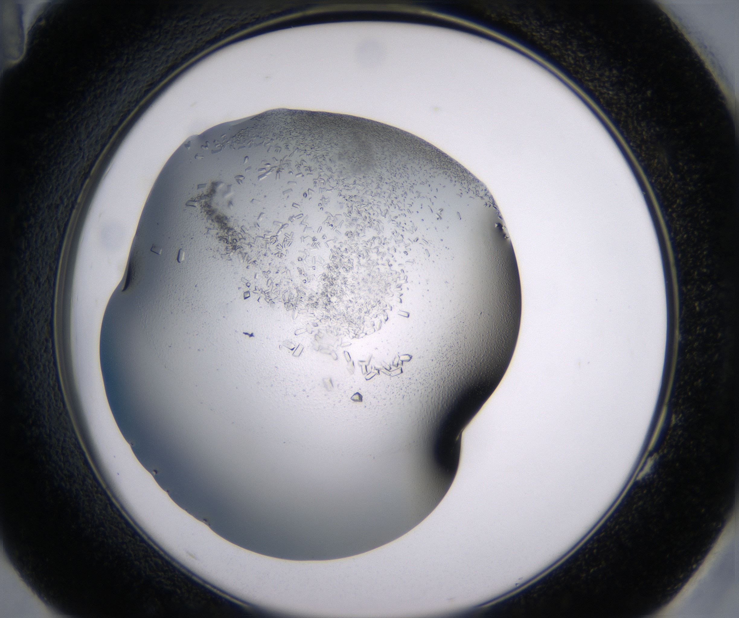 G11_HighResolution_Crystal_2.jpg