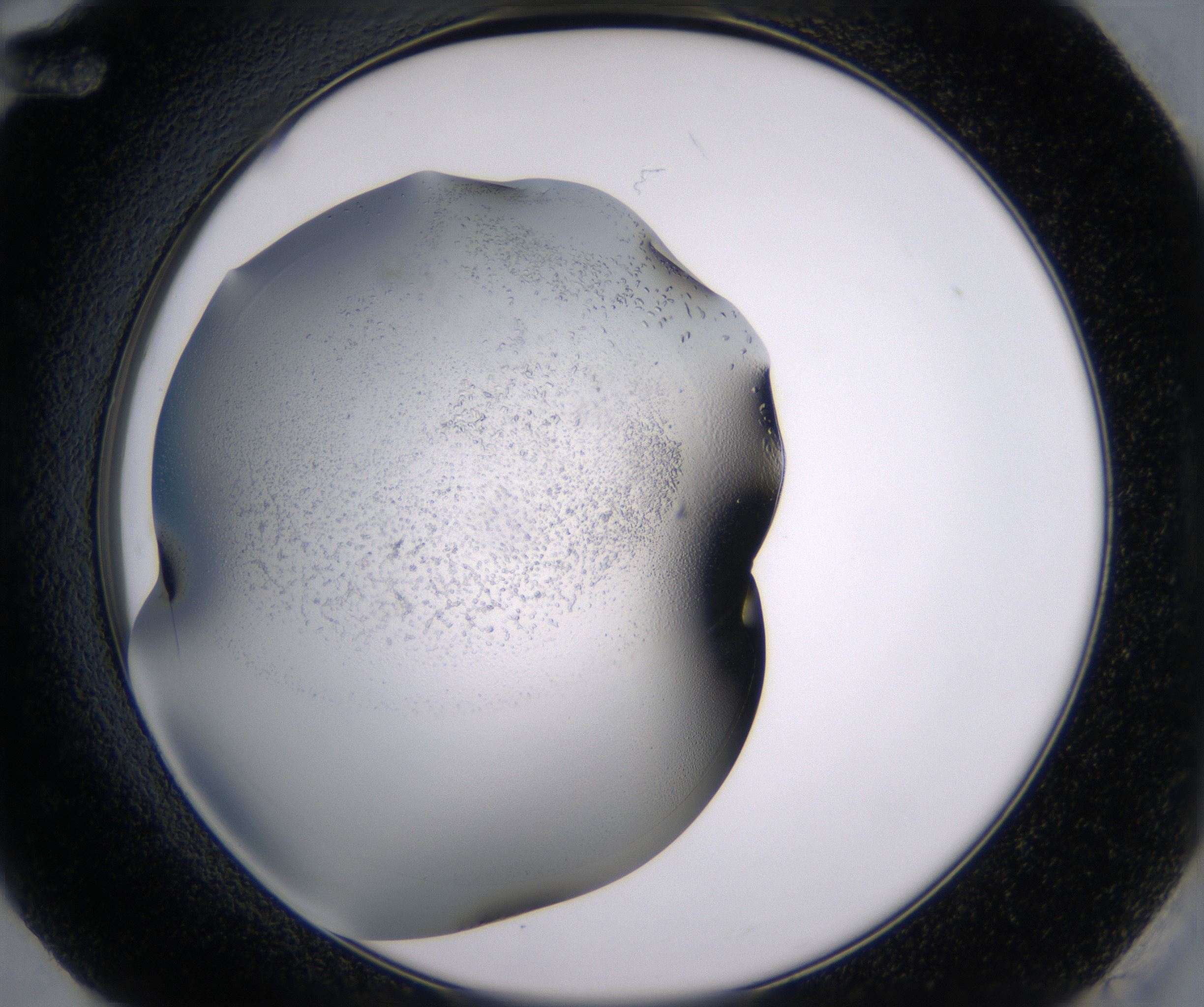 G12_HighResolution_Crystal_2.jpg