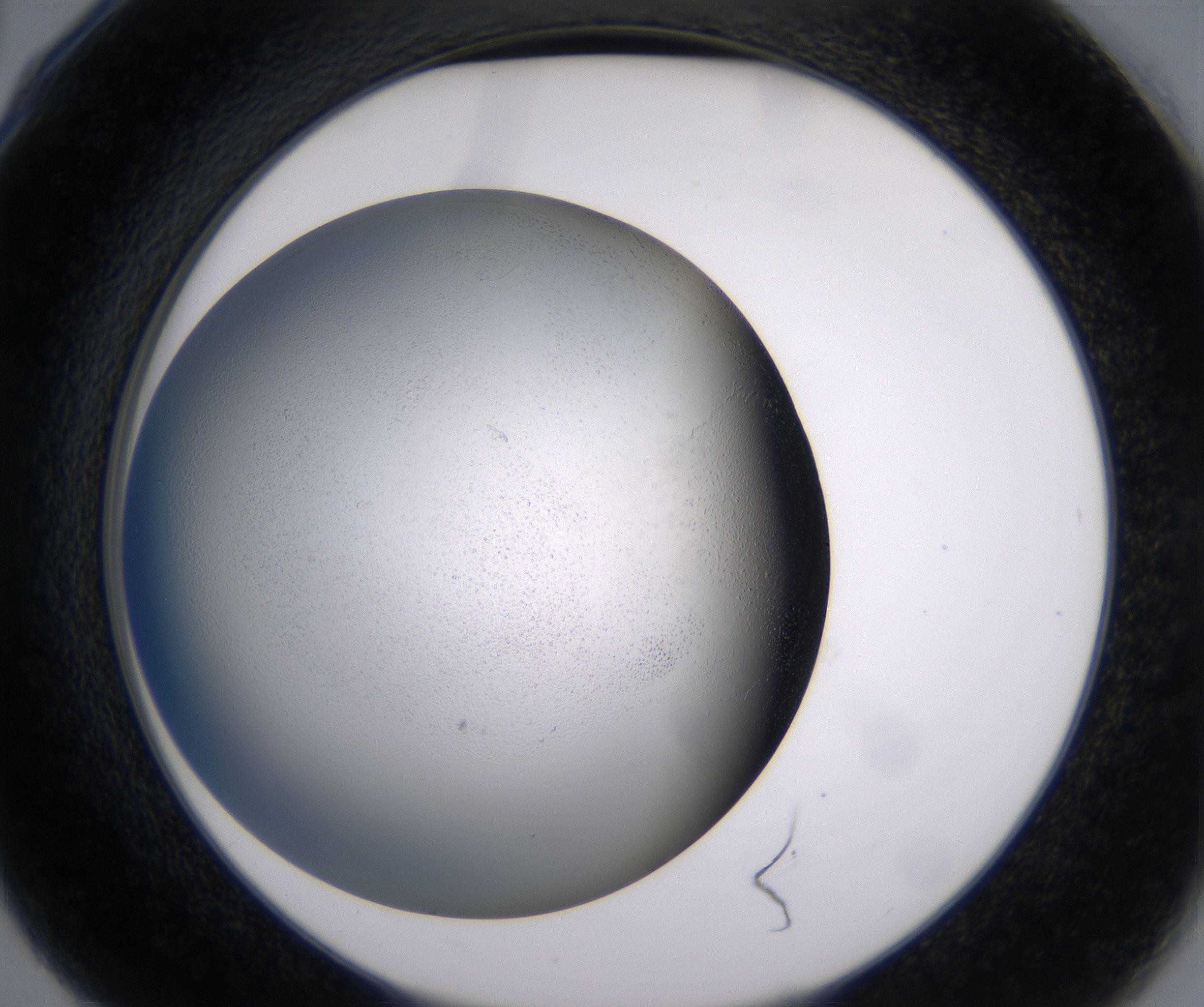 G6_HighResolution_Clear_2.jpg