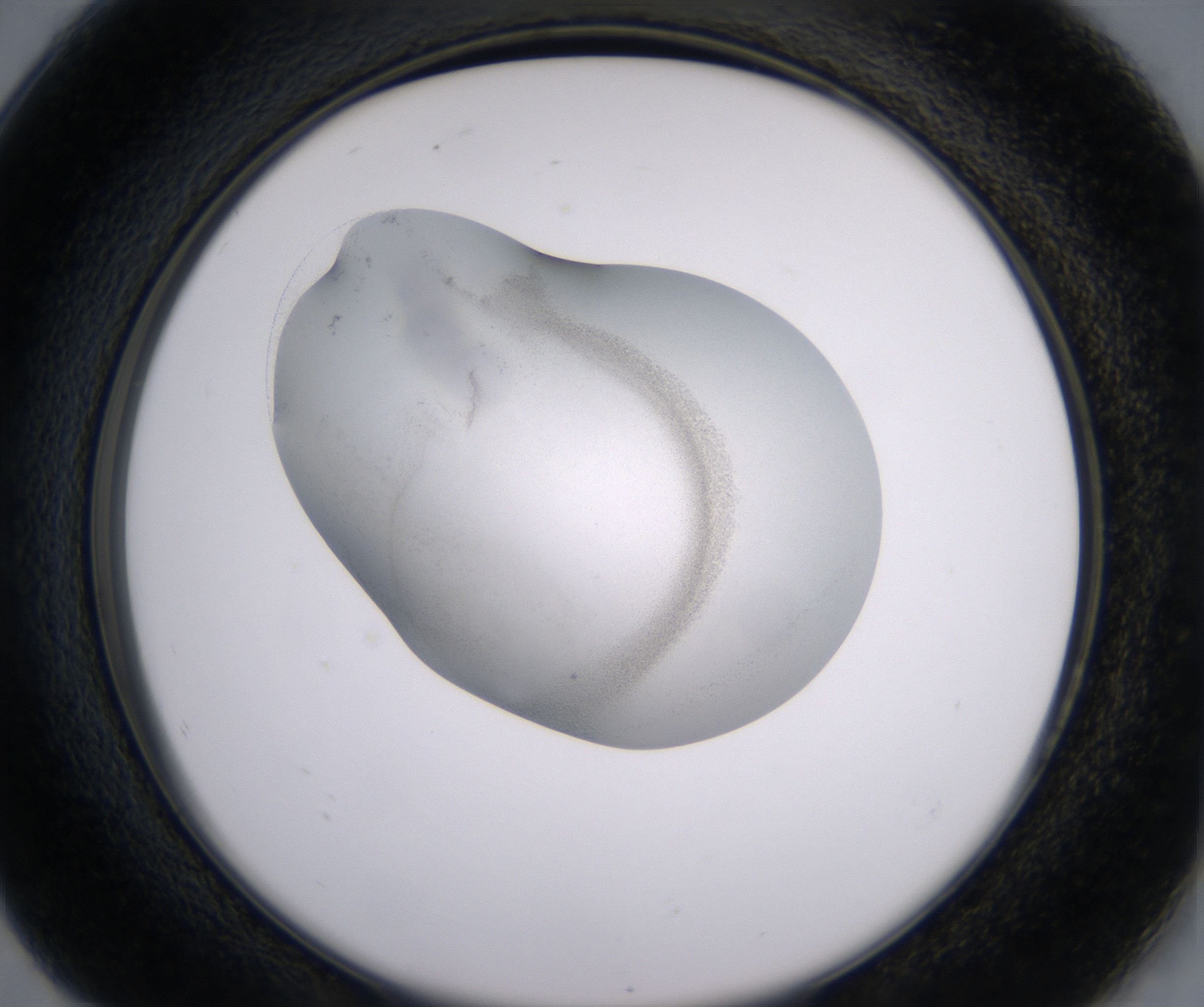 G8_HighResolution_Clear_2.jpg