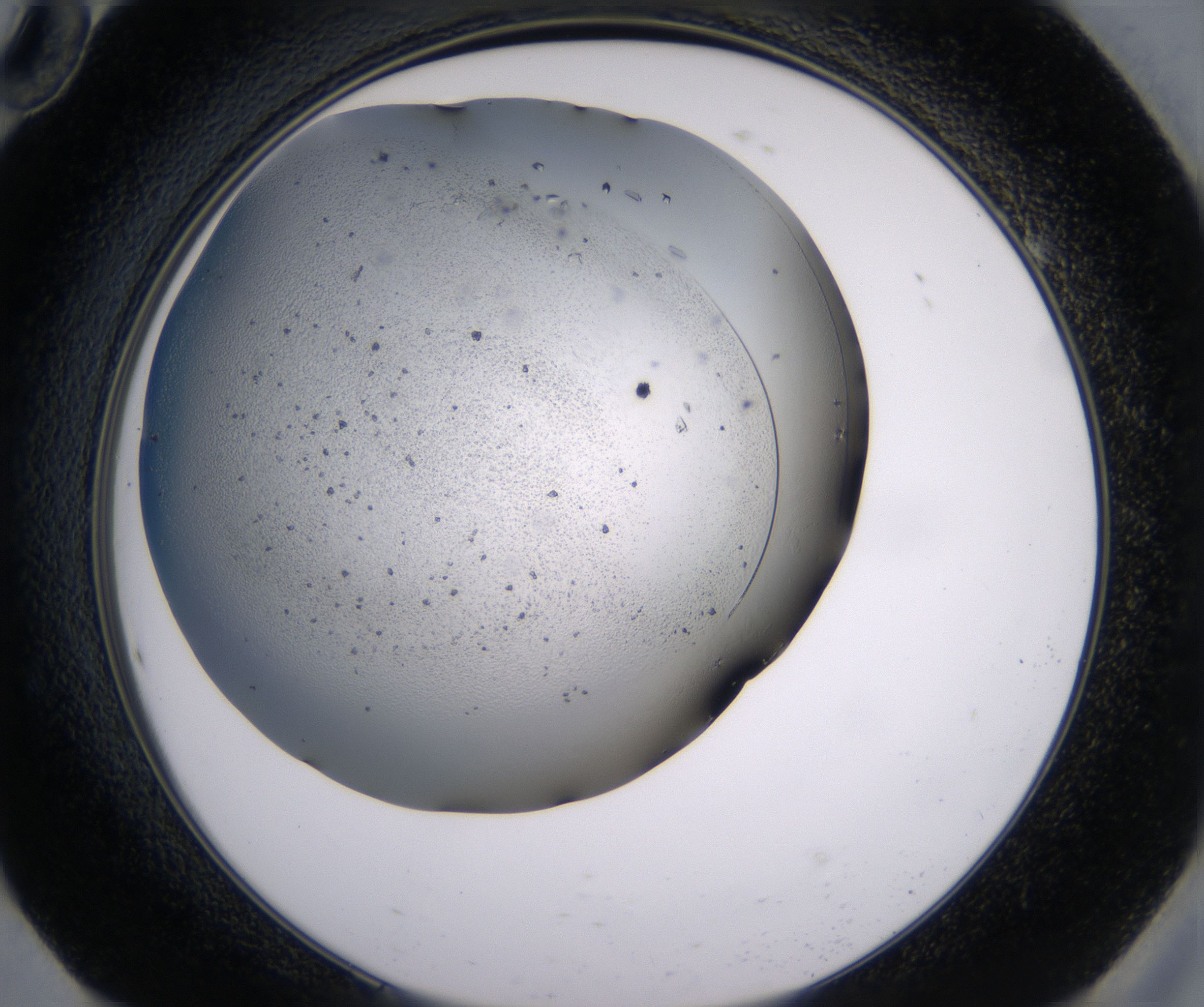 H10_HighResolution_Crystal_2.jpg