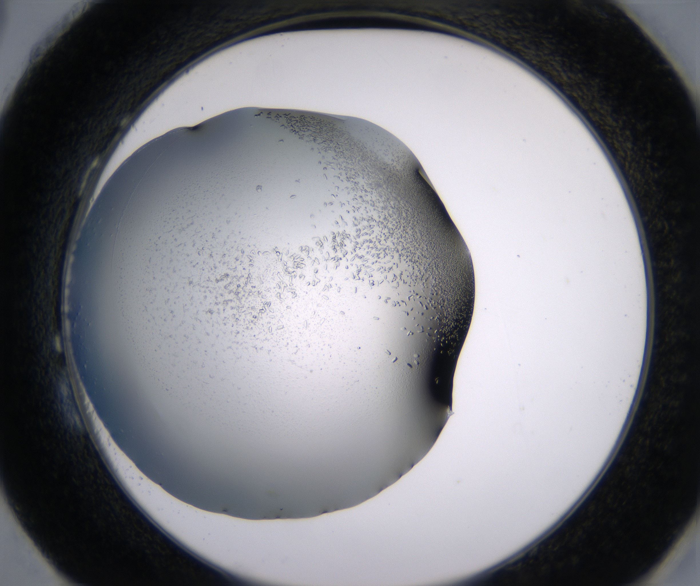 H3_HighResolution_Crystal_2.jpg