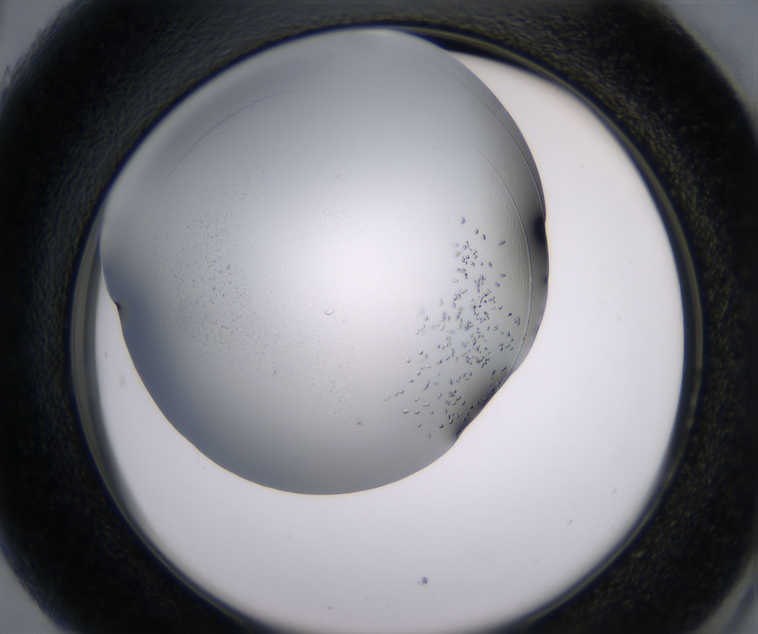 H5_HighResolution_Crystal_2.jpg