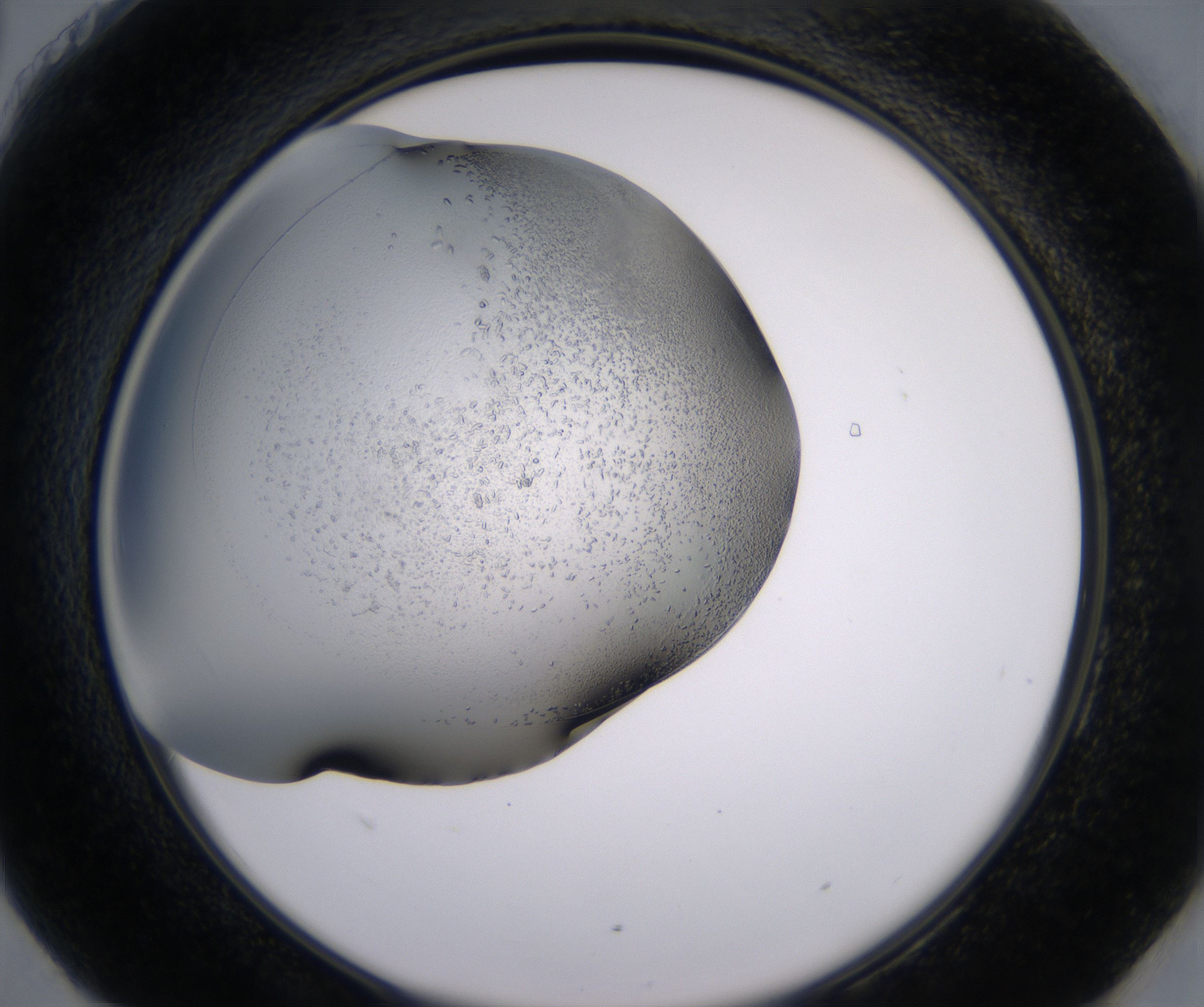 H6_HighResolution_Crystal_2.jpg