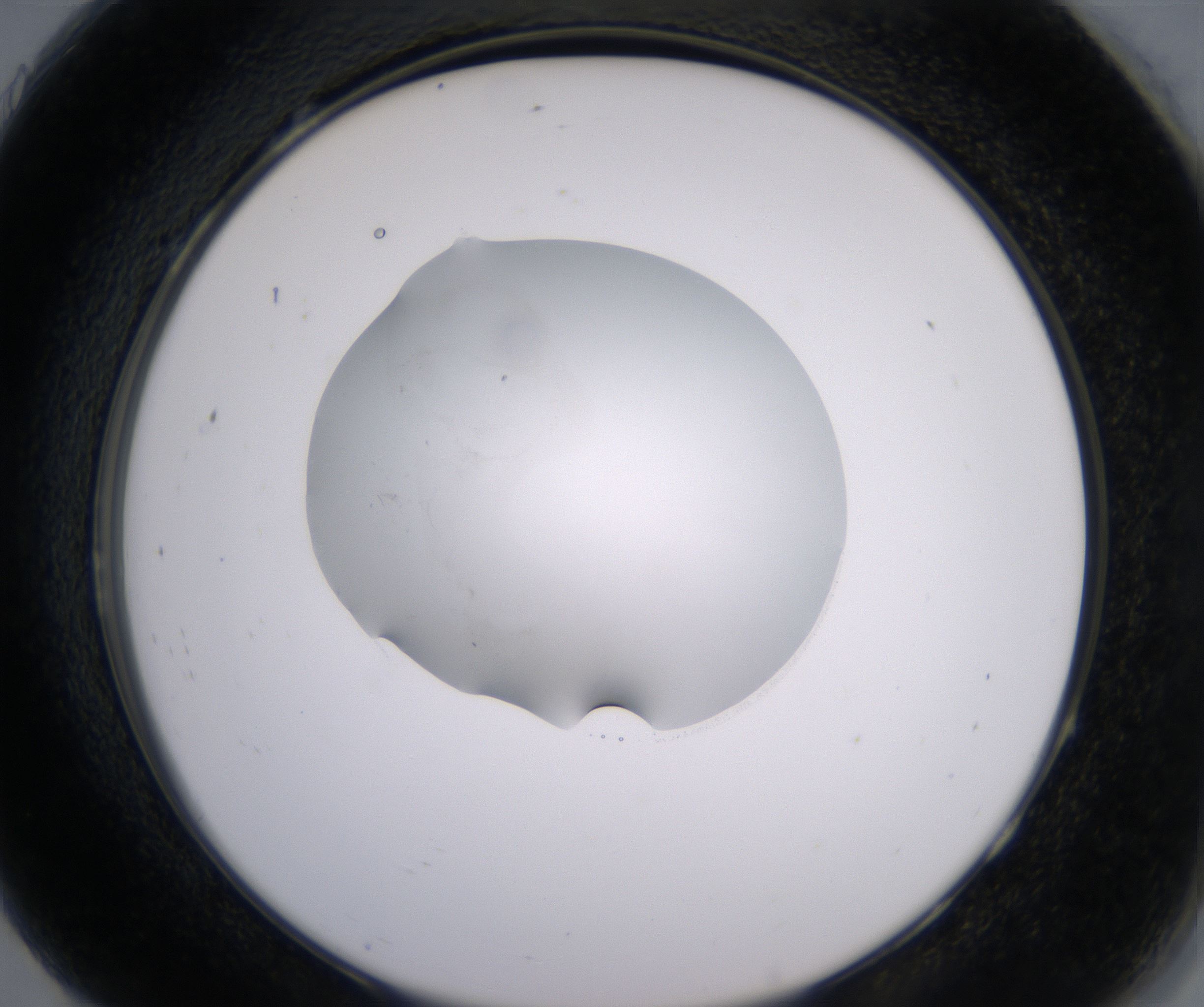 H7_HighResolution_Clear_2.jpg