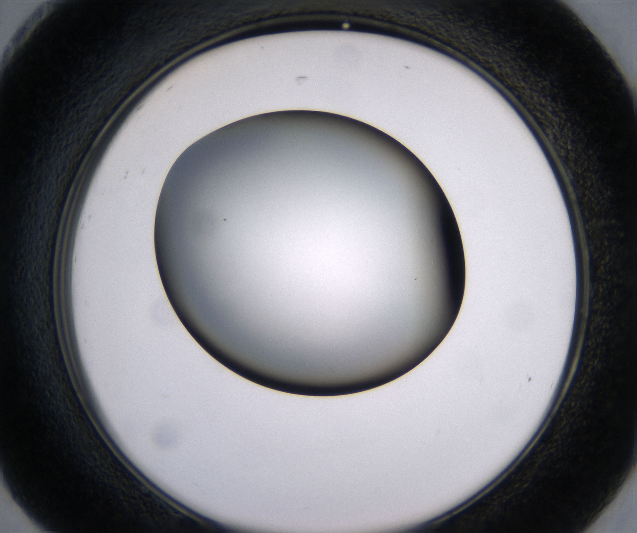 H8_HighResolution_Clear_2.jpg