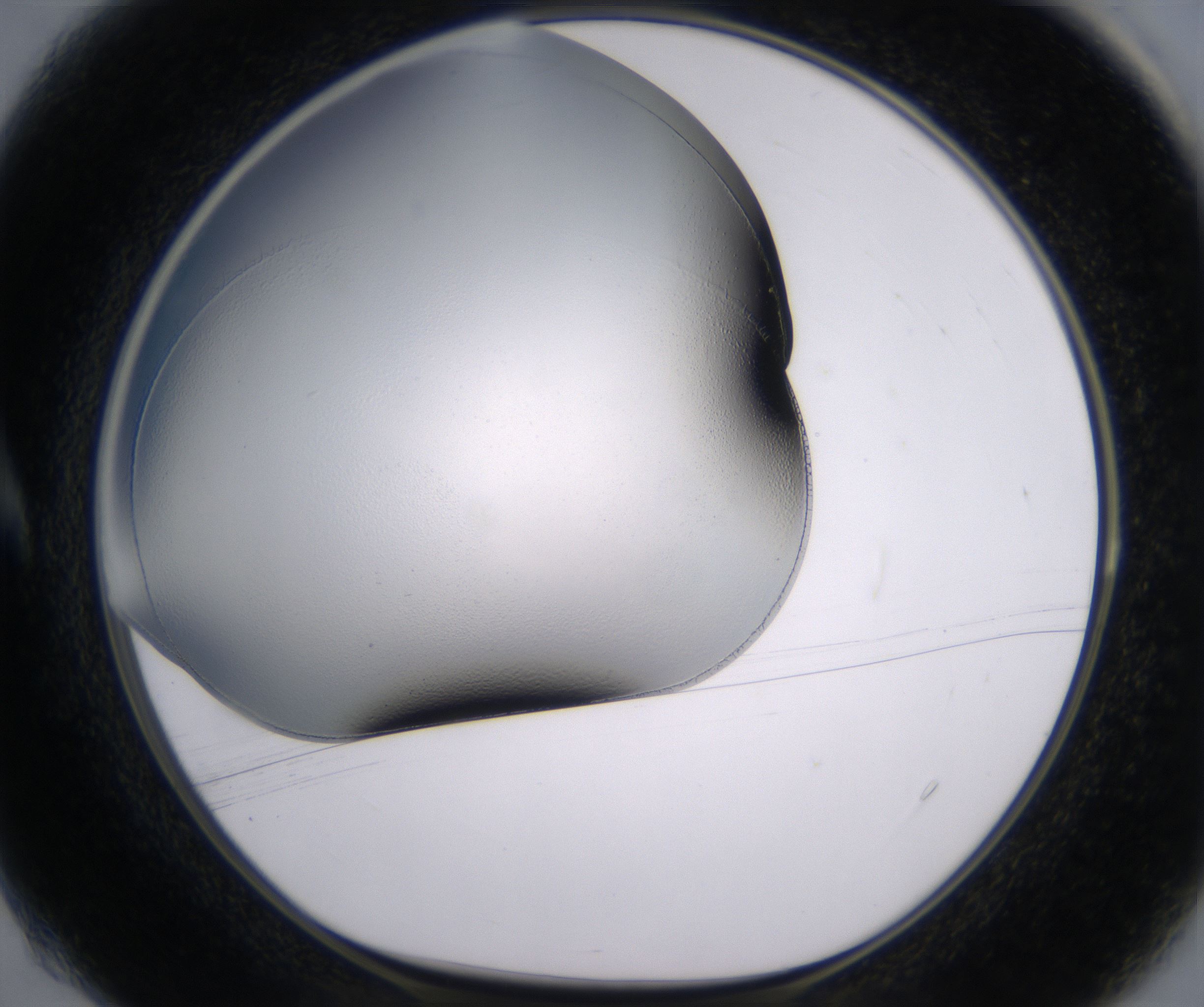 A4_HighResolution_Clear_1.jpg