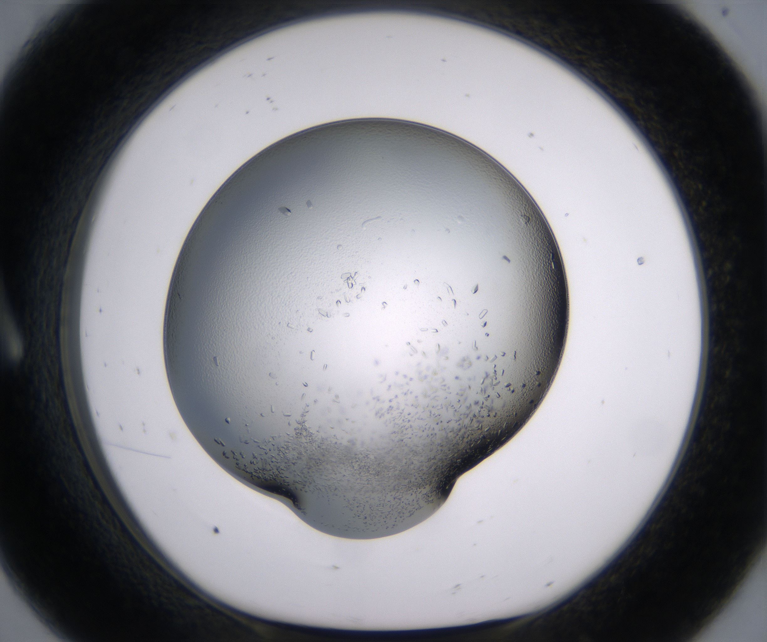 A8_HighResolution_Crystal_1.jpg
