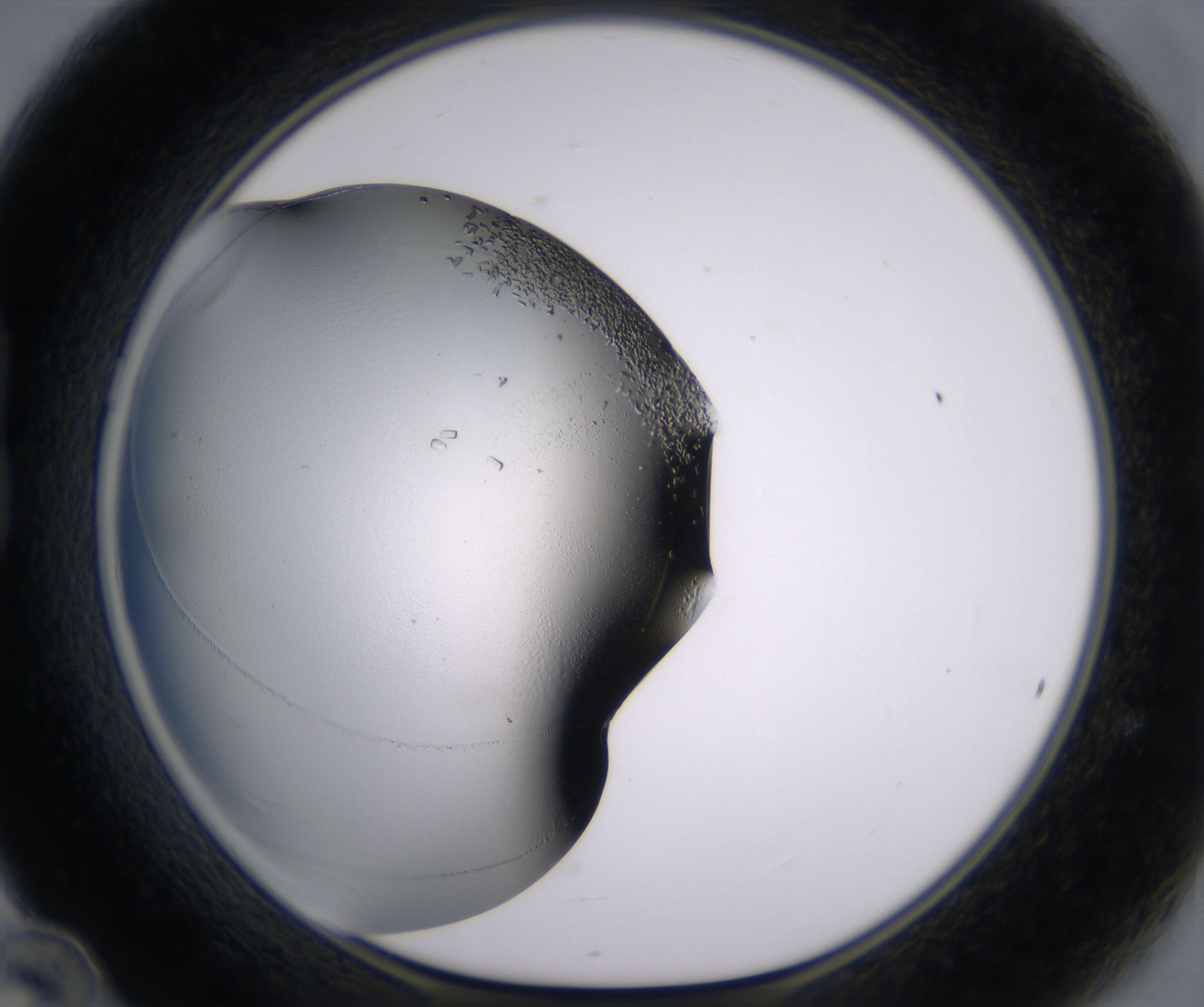 B12_HighResolution_Crystal_1.jpg