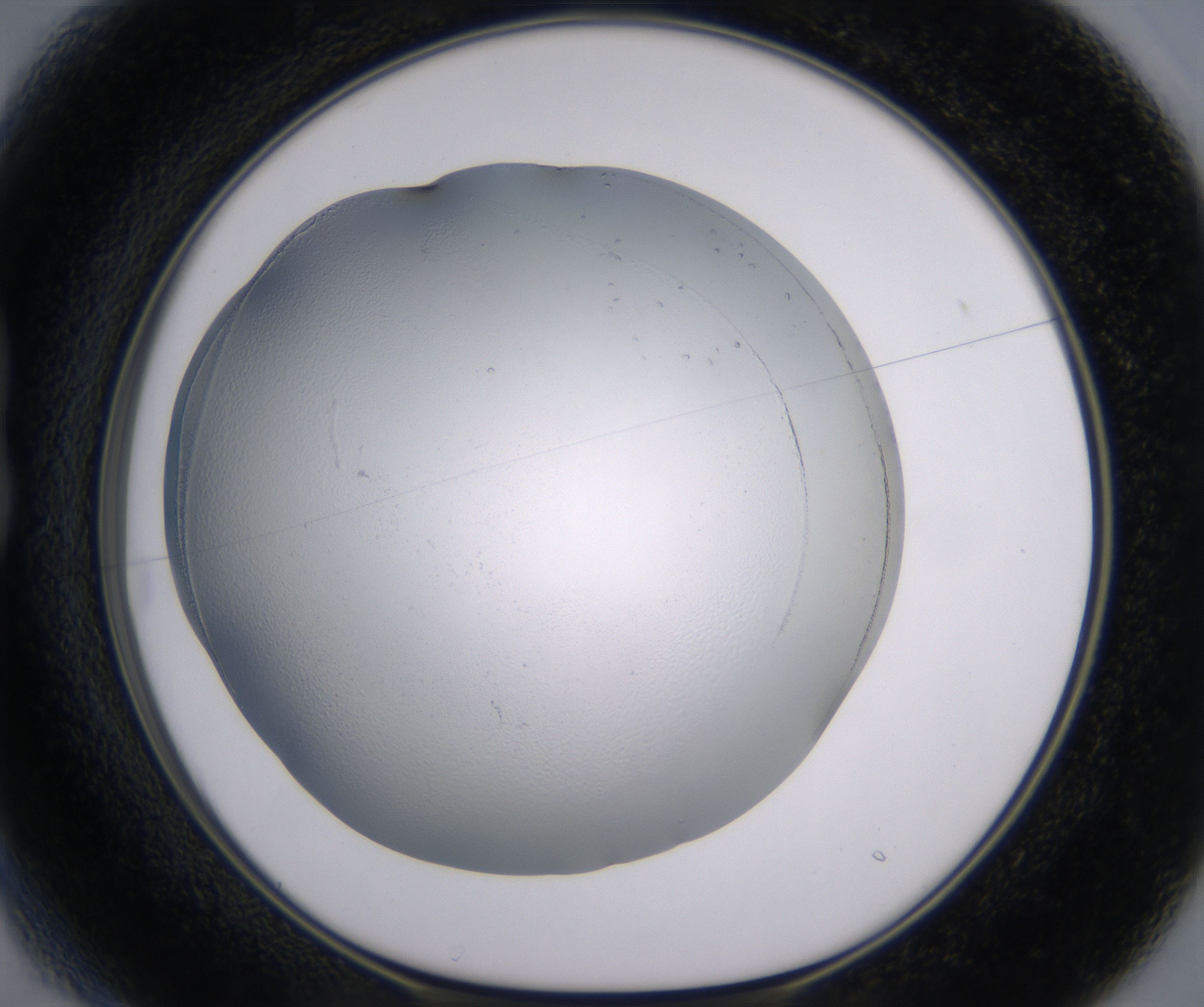 B1_HighResolution_Clear_1.jpg
