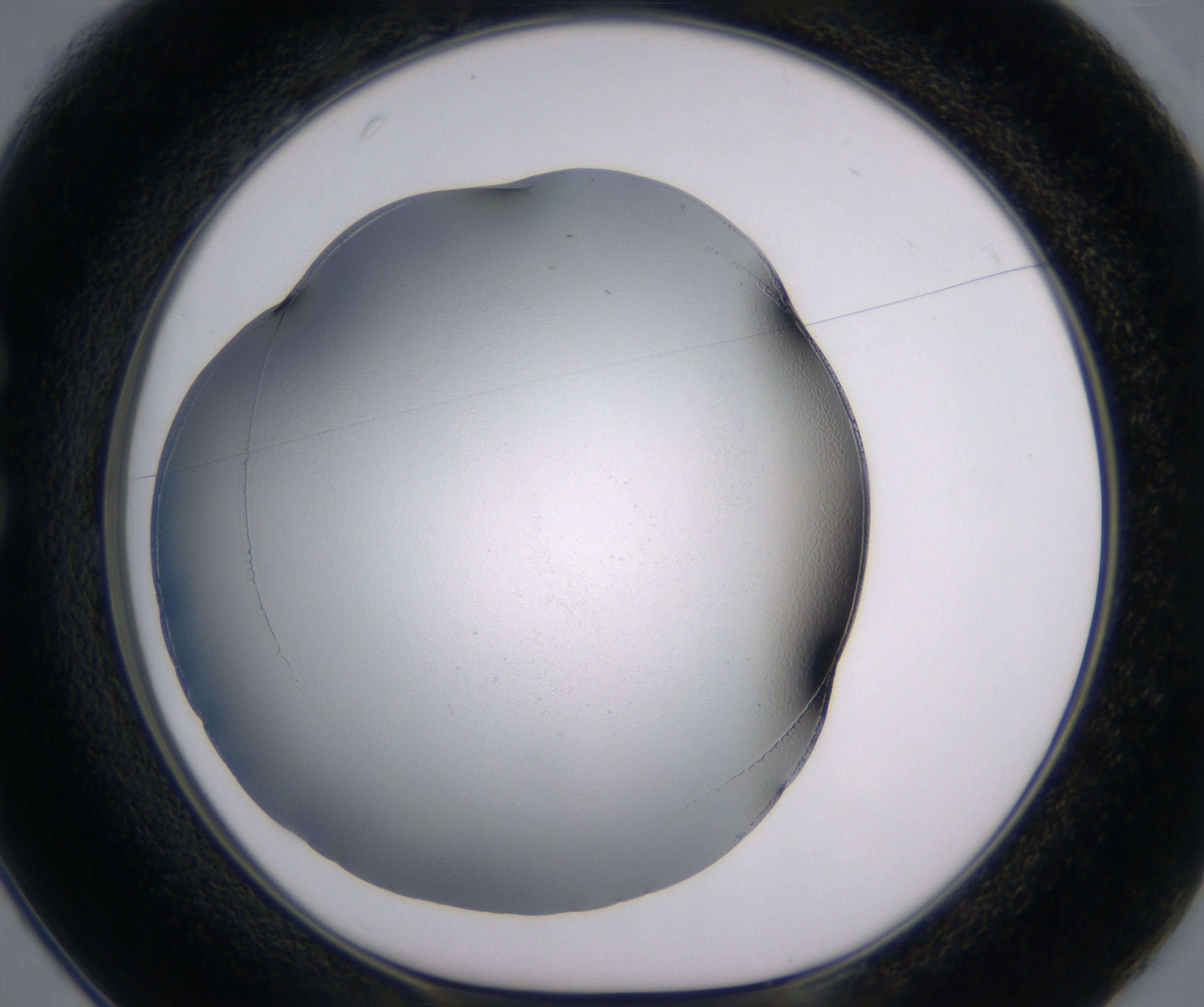 C1_HighResolution_Clear_1.jpg