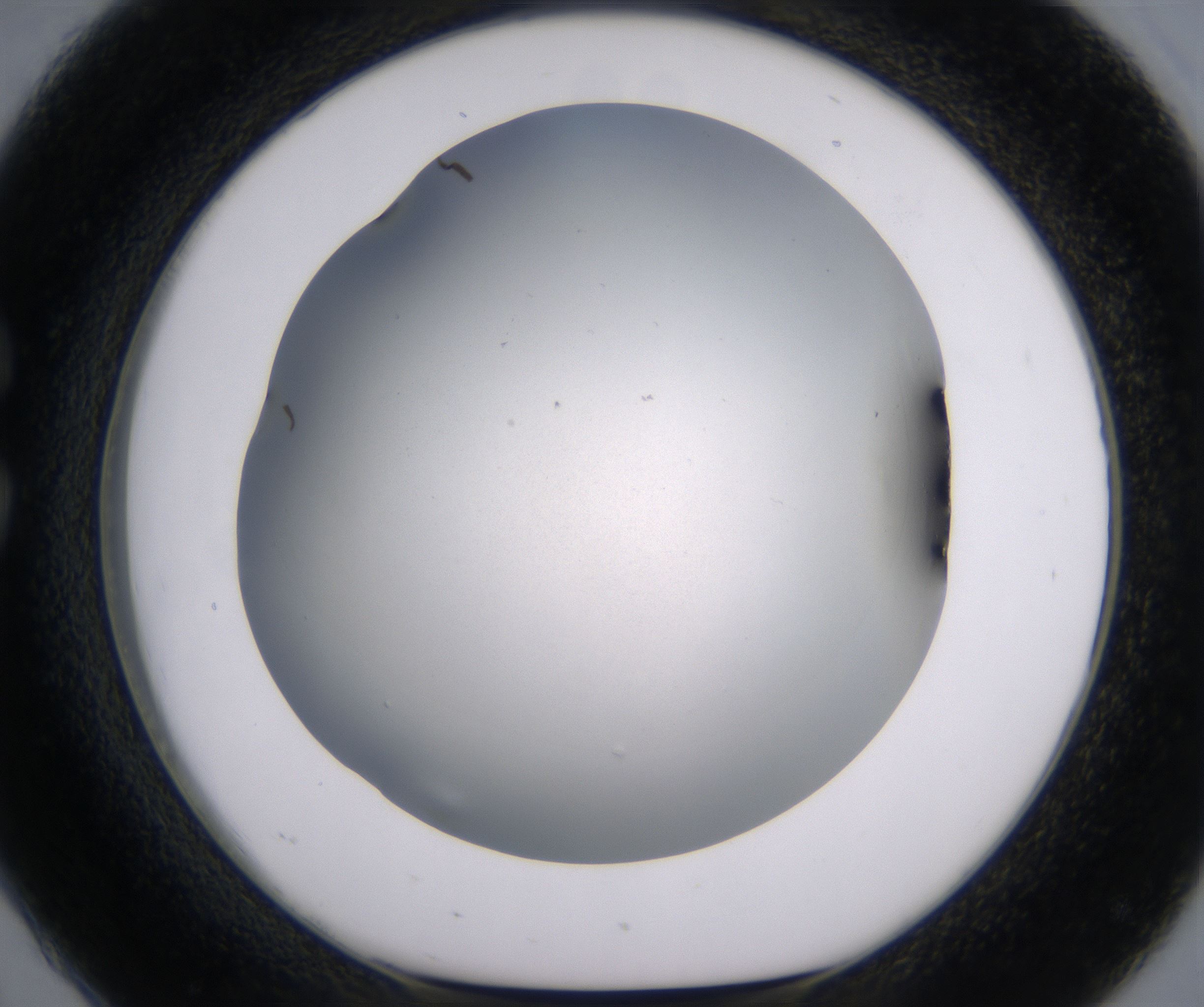 C2_HighResolution_Clear_1.jpg