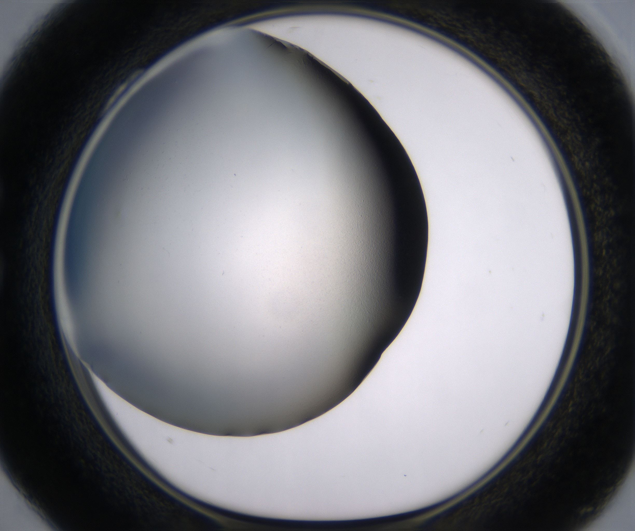 C4_HighResolution_Clear_1.jpg