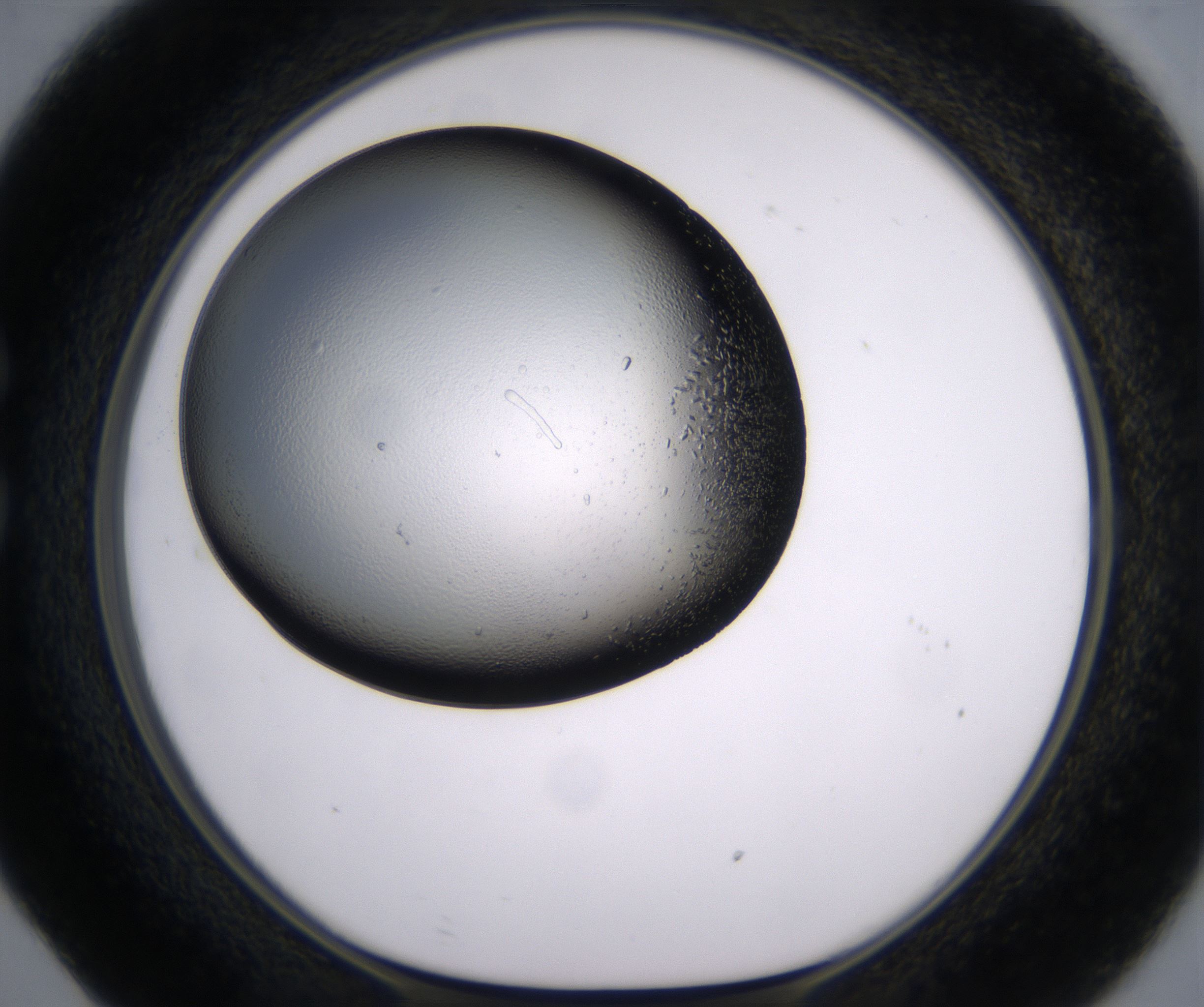 C5_HighResolution_Crystal_1.jpg