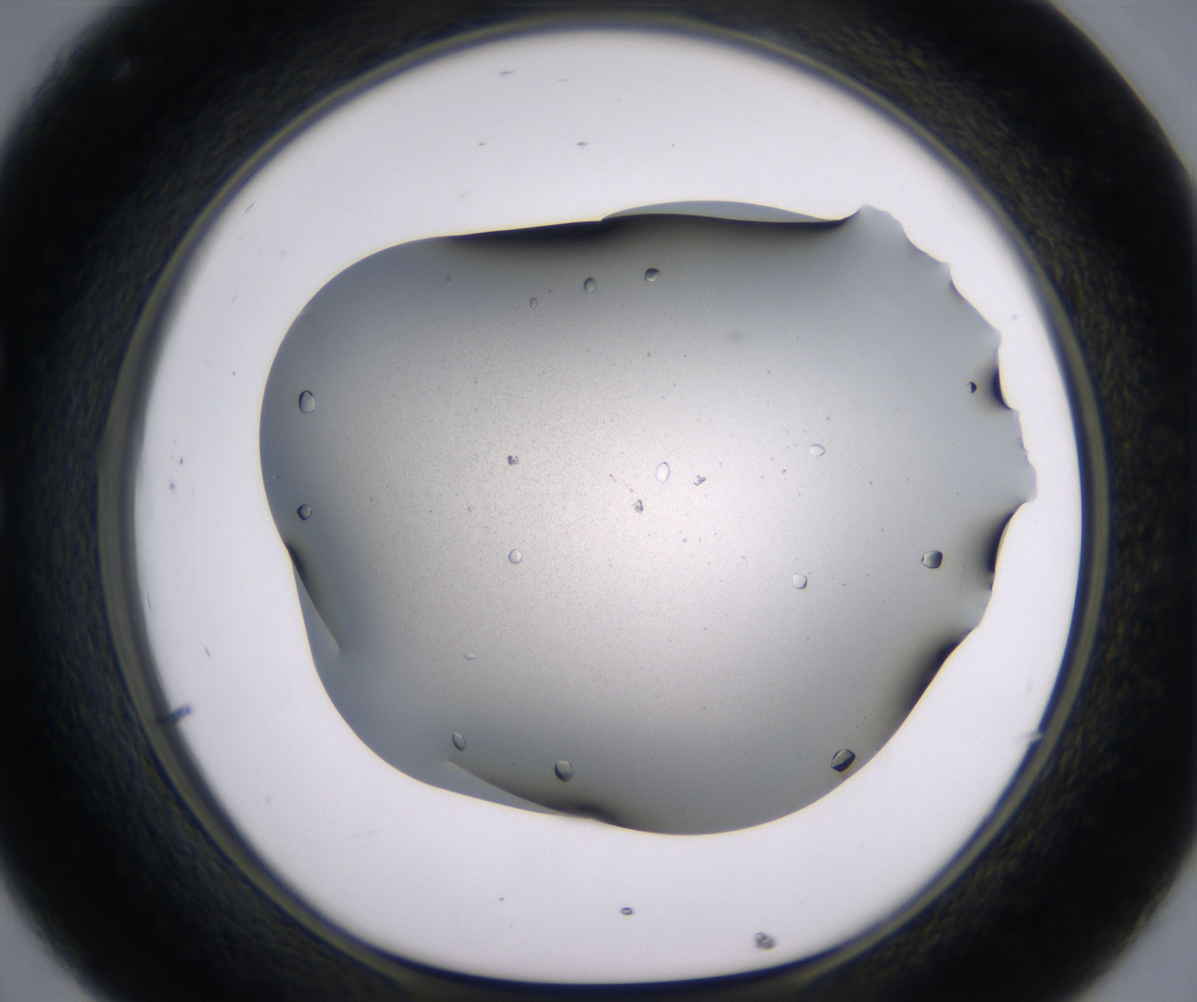 C8_HighResolution_Crystal_1.jpg