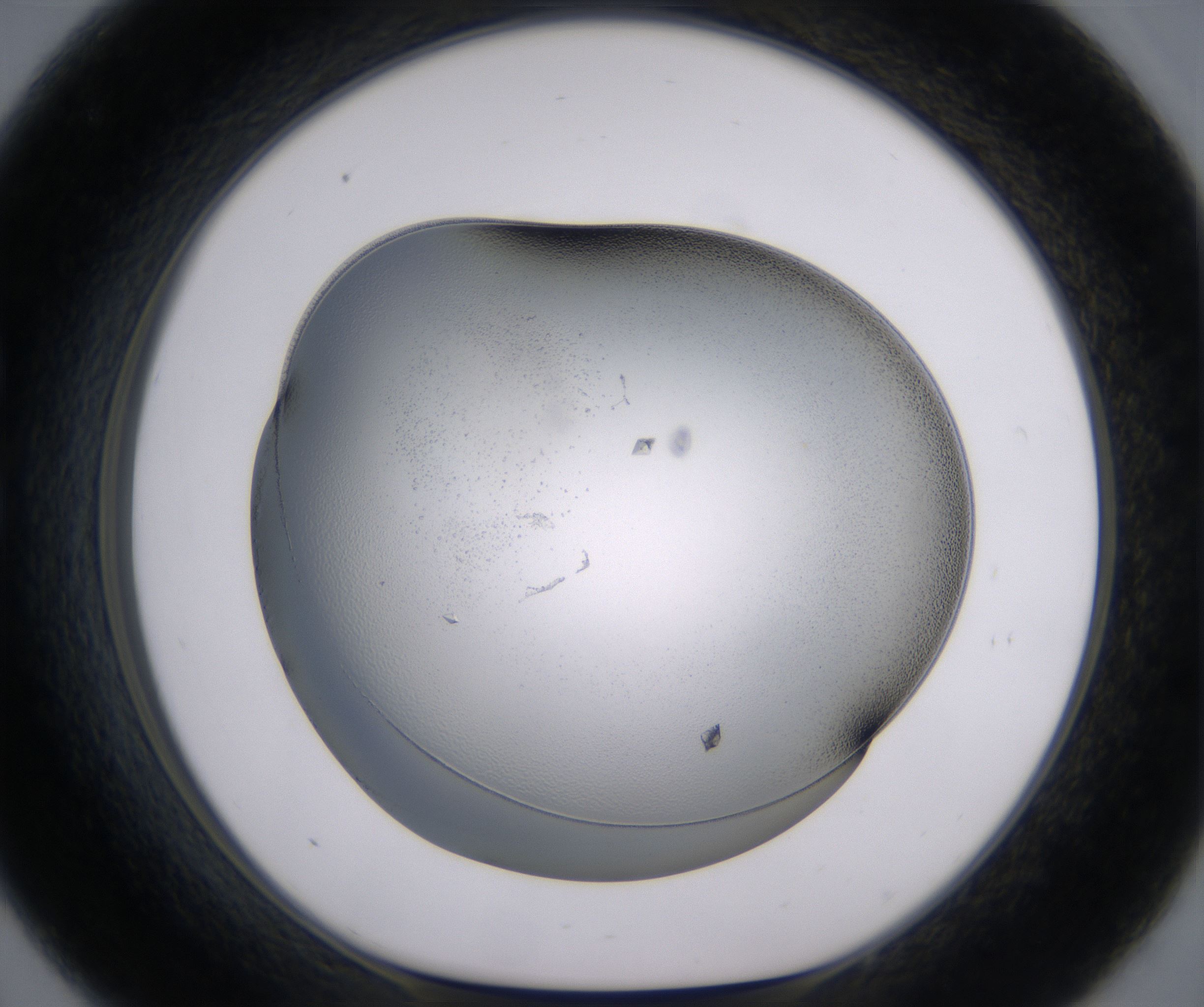 C9_HighResolution_Crystal_1.jpg