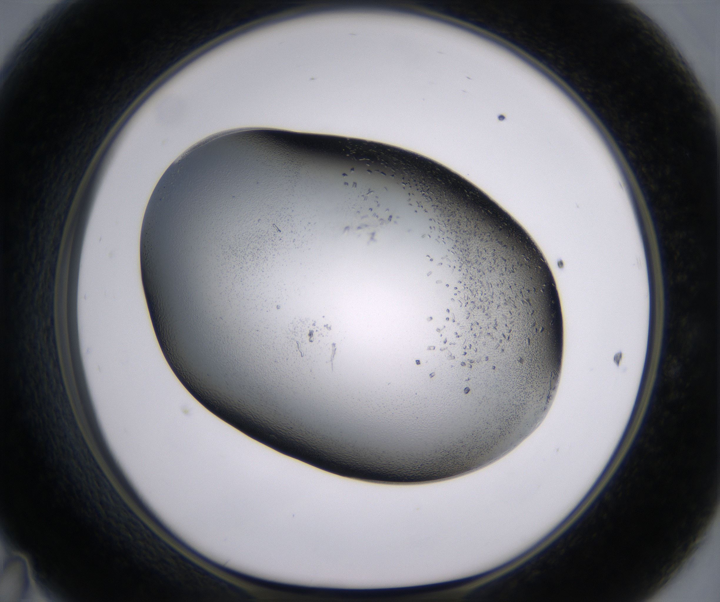 D11_HighResolution_Crystal_1.jpg