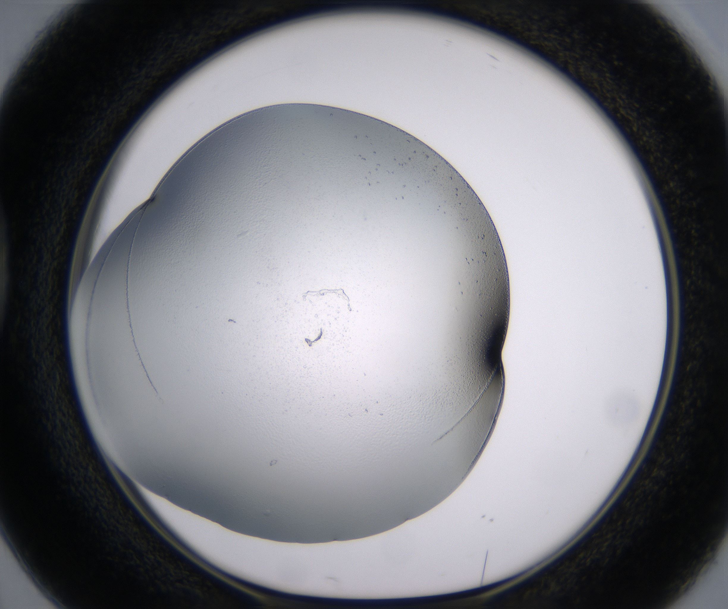 D2_HighResolution_Clear_1.jpg
