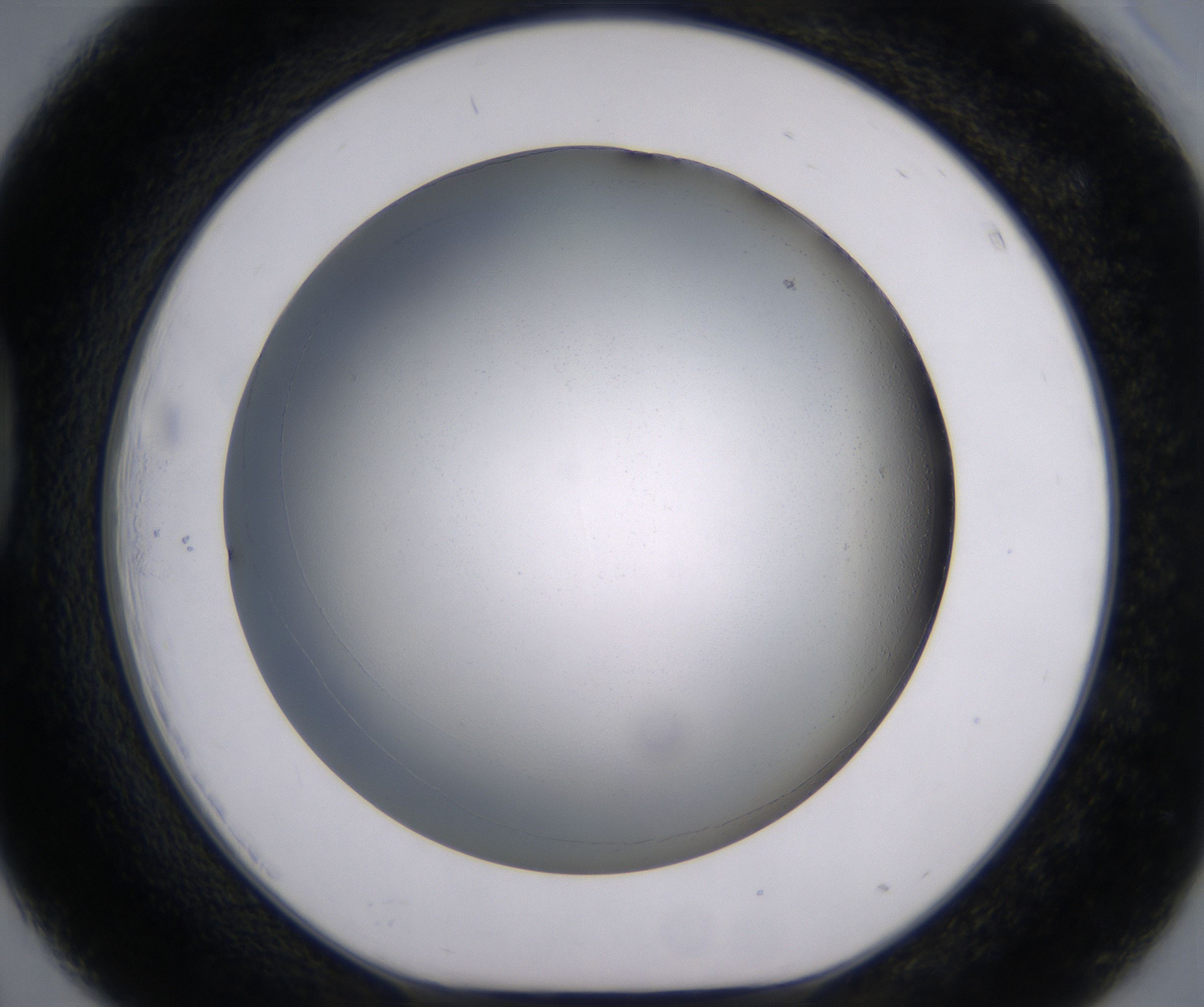 D3_HighResolution_Clear_1.jpg