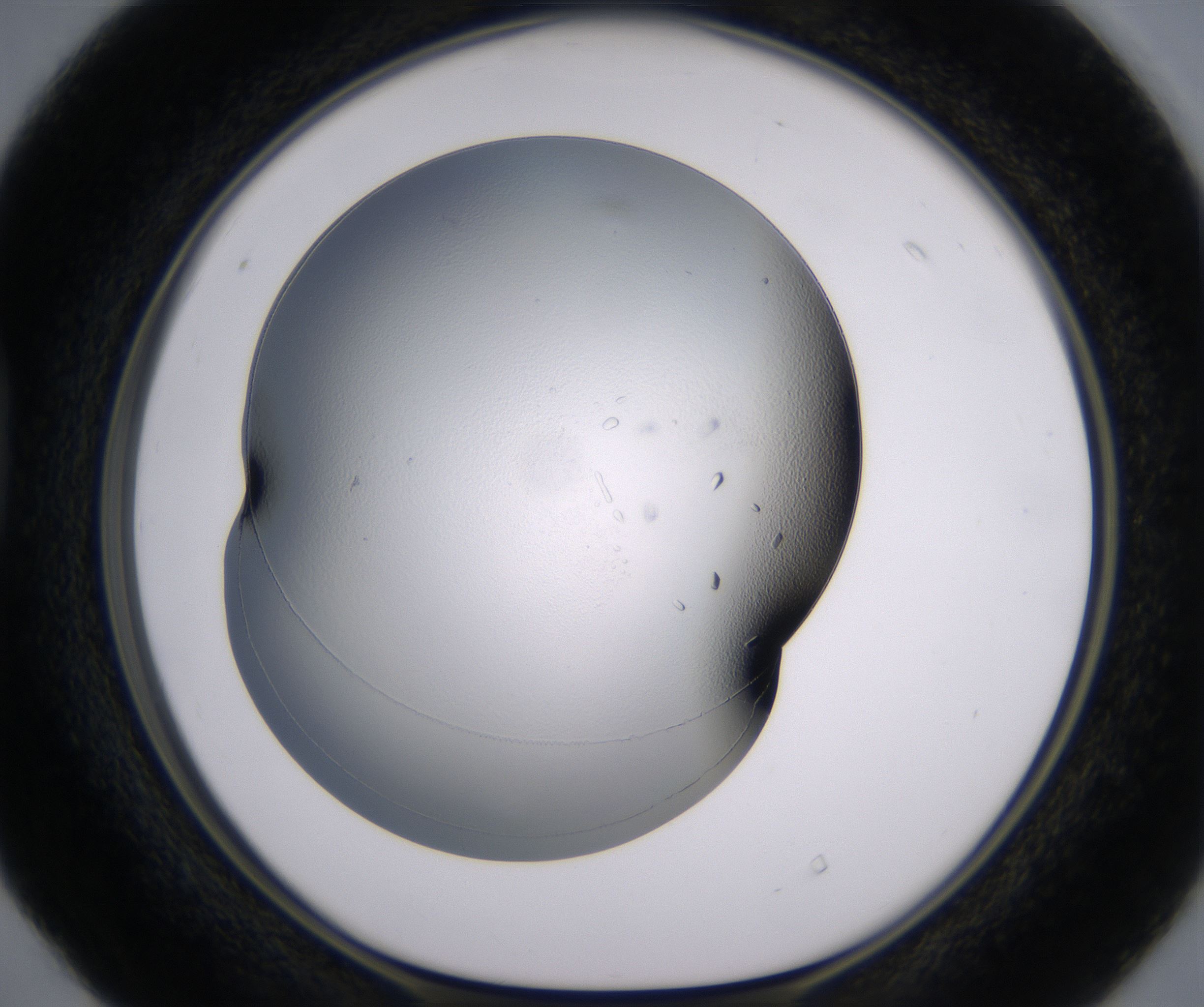 D4_HighResolution_Crystal_1.jpg