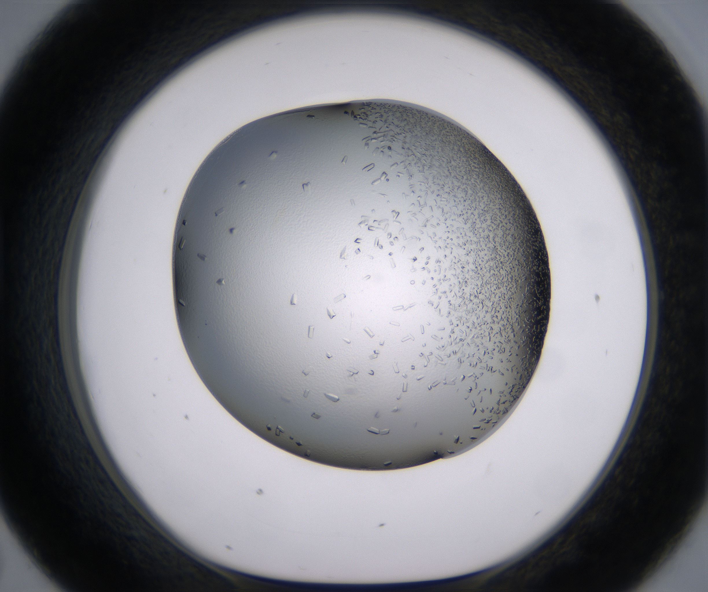 D7_HighResolution_Crystal_1.jpg