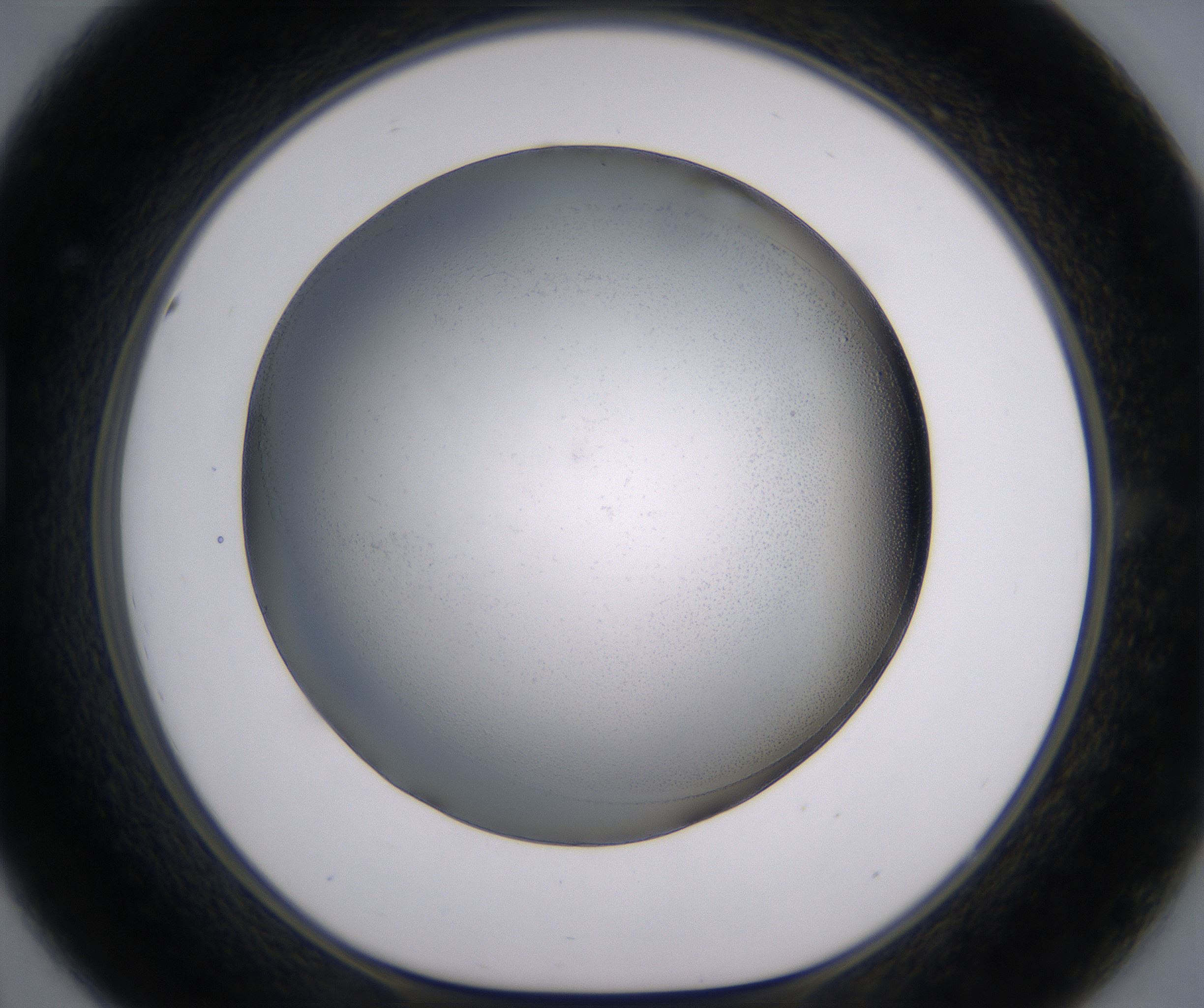 D8_HighResolution_Clear_1.jpg