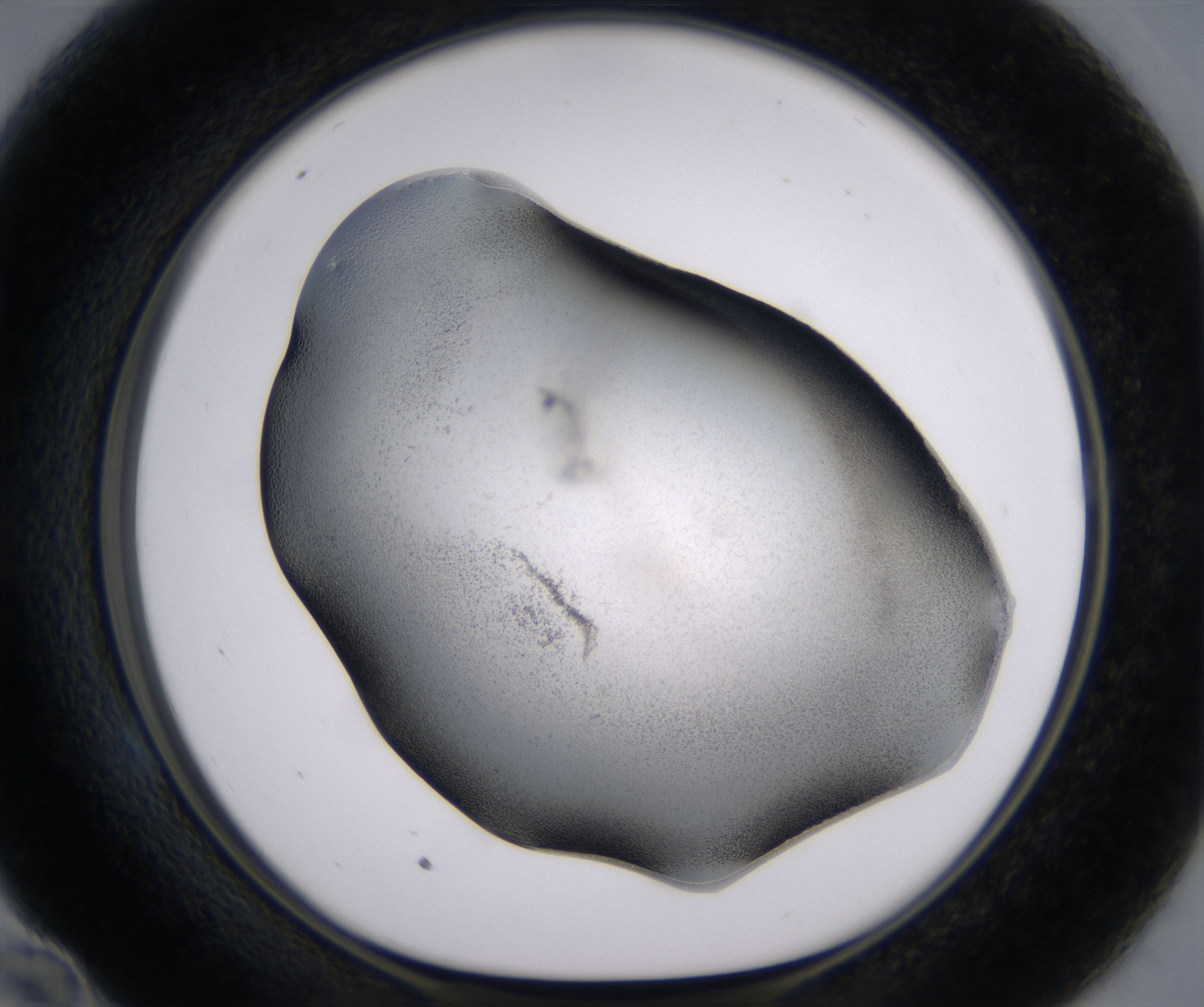 E10_HighResolution_Precipitate_1.jpg